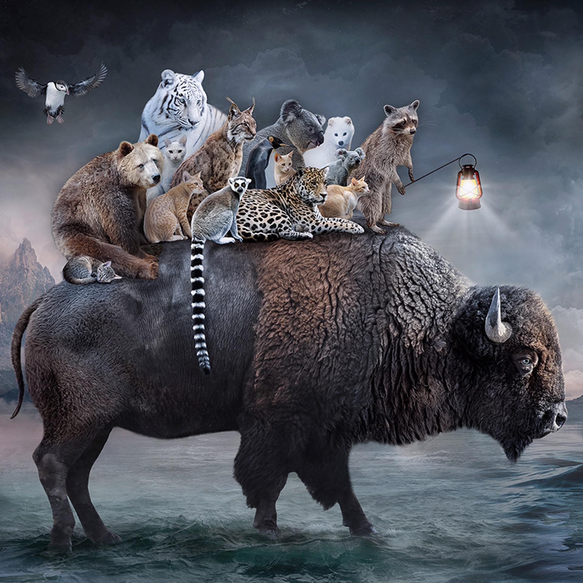 Shelter - Spirit of the Bison by Marcin Owczarek
