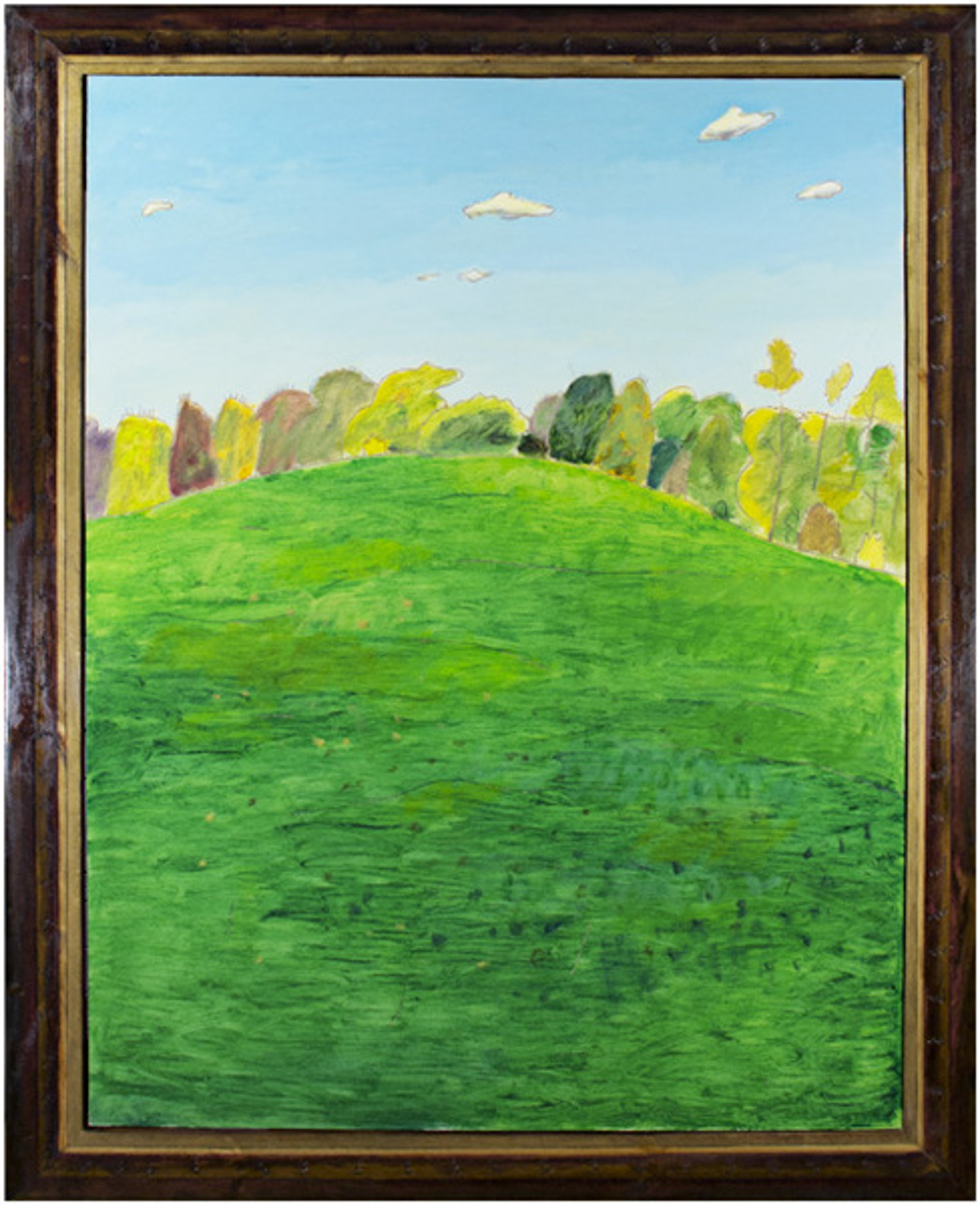 Green Meadow by Robert Richter