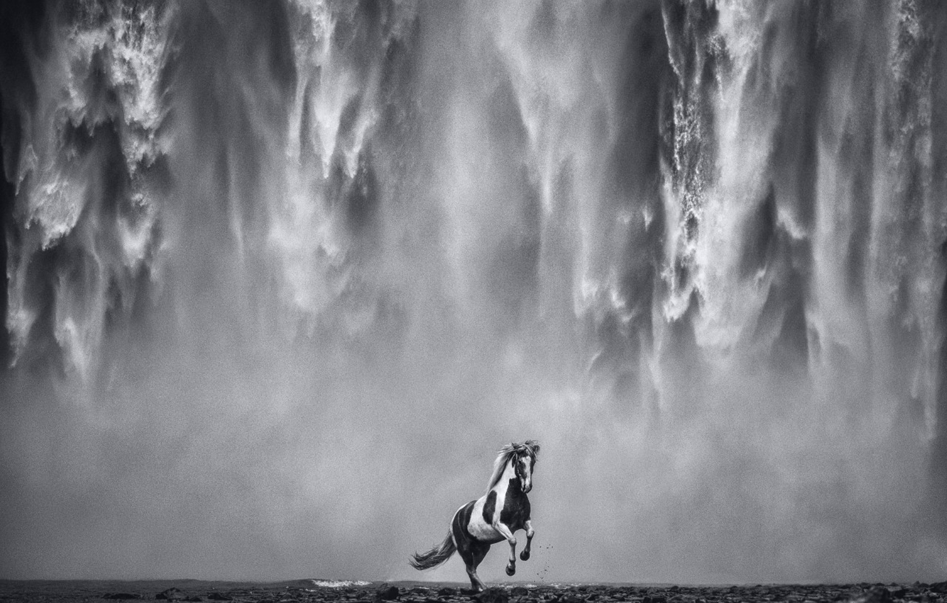 Legends of the Fall by David Yarrow