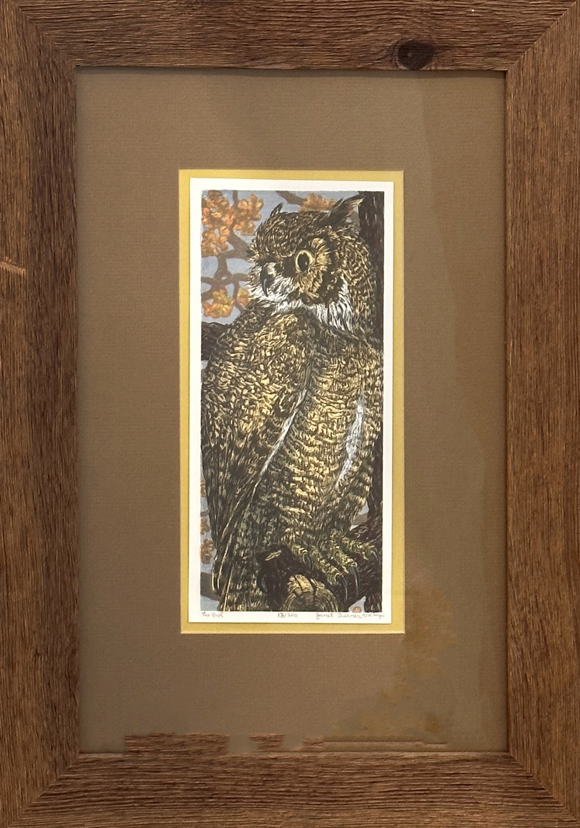 The Owl by Janet Turner
