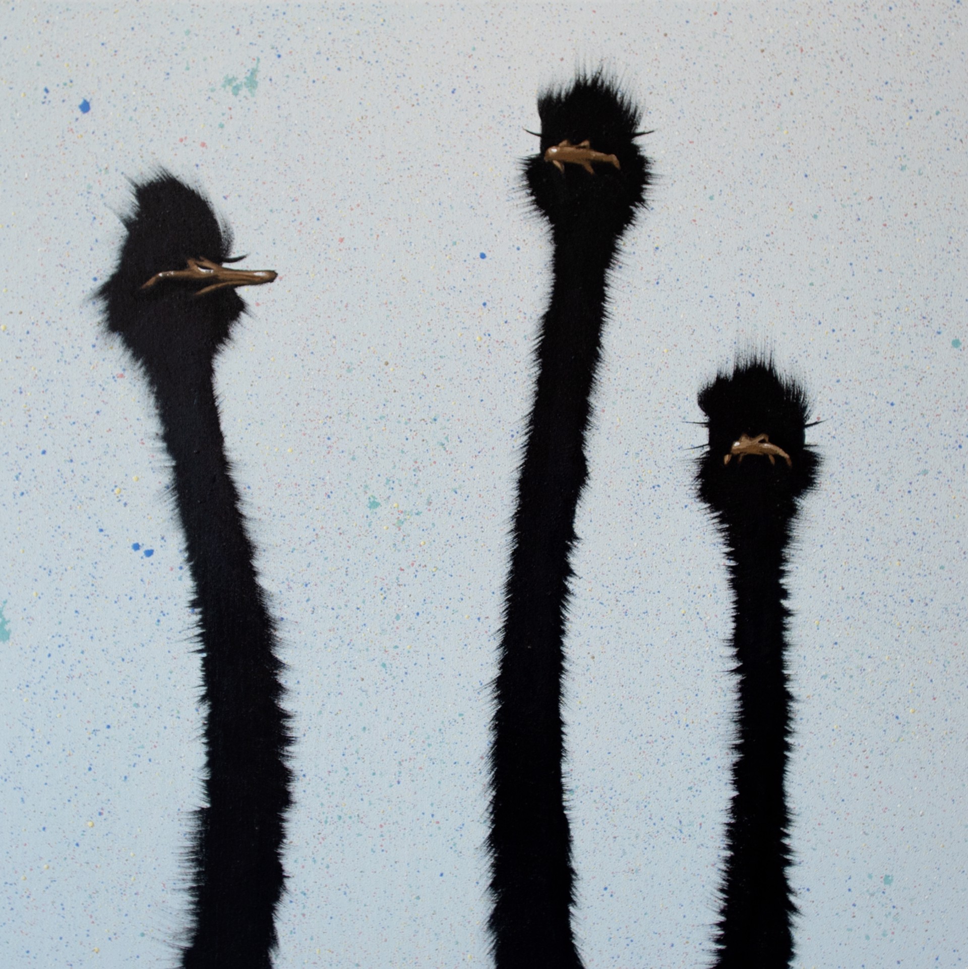 Ostrich by Josh Brown