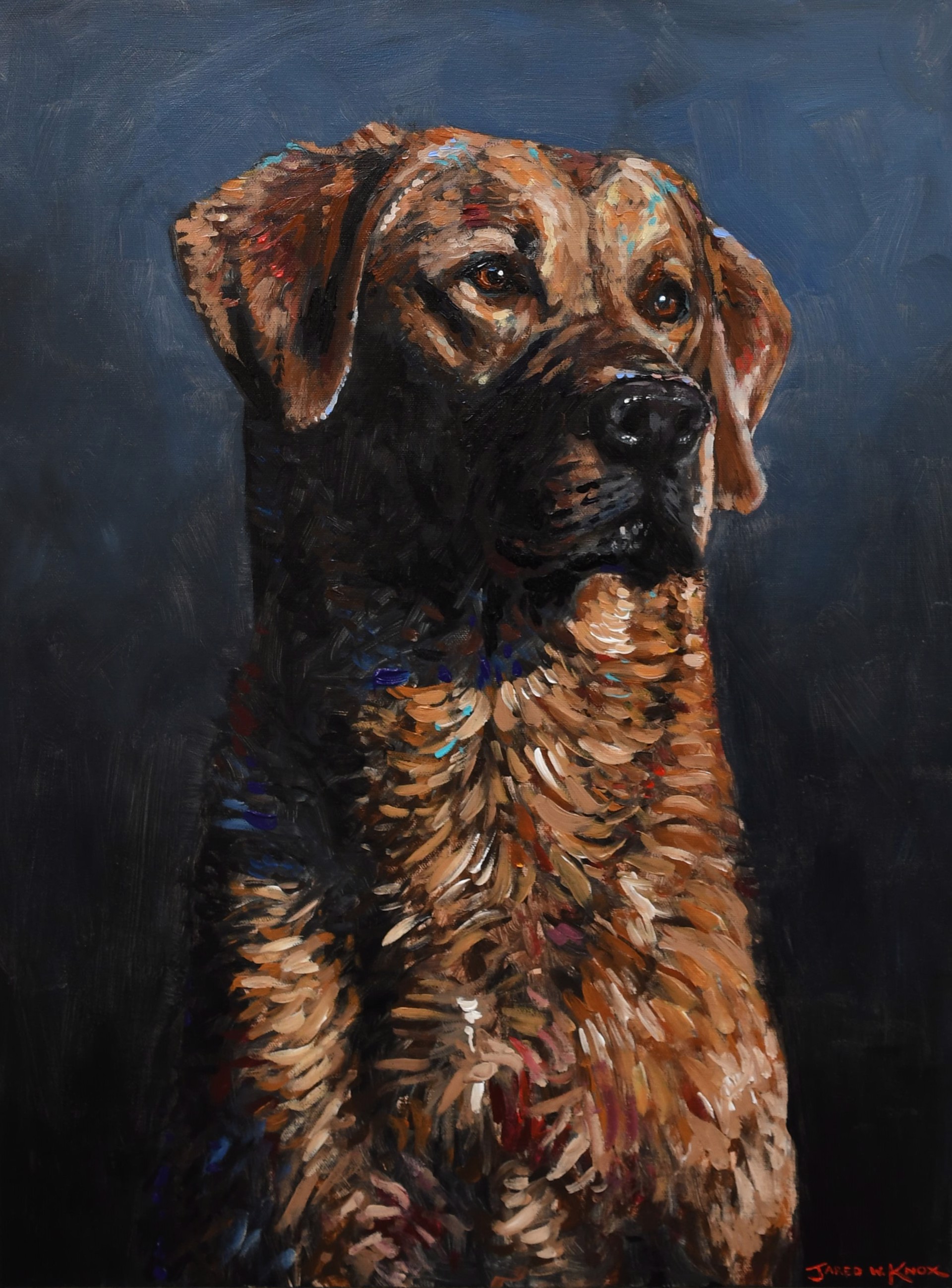 Golden Lab by Guest Artist Jared Knox