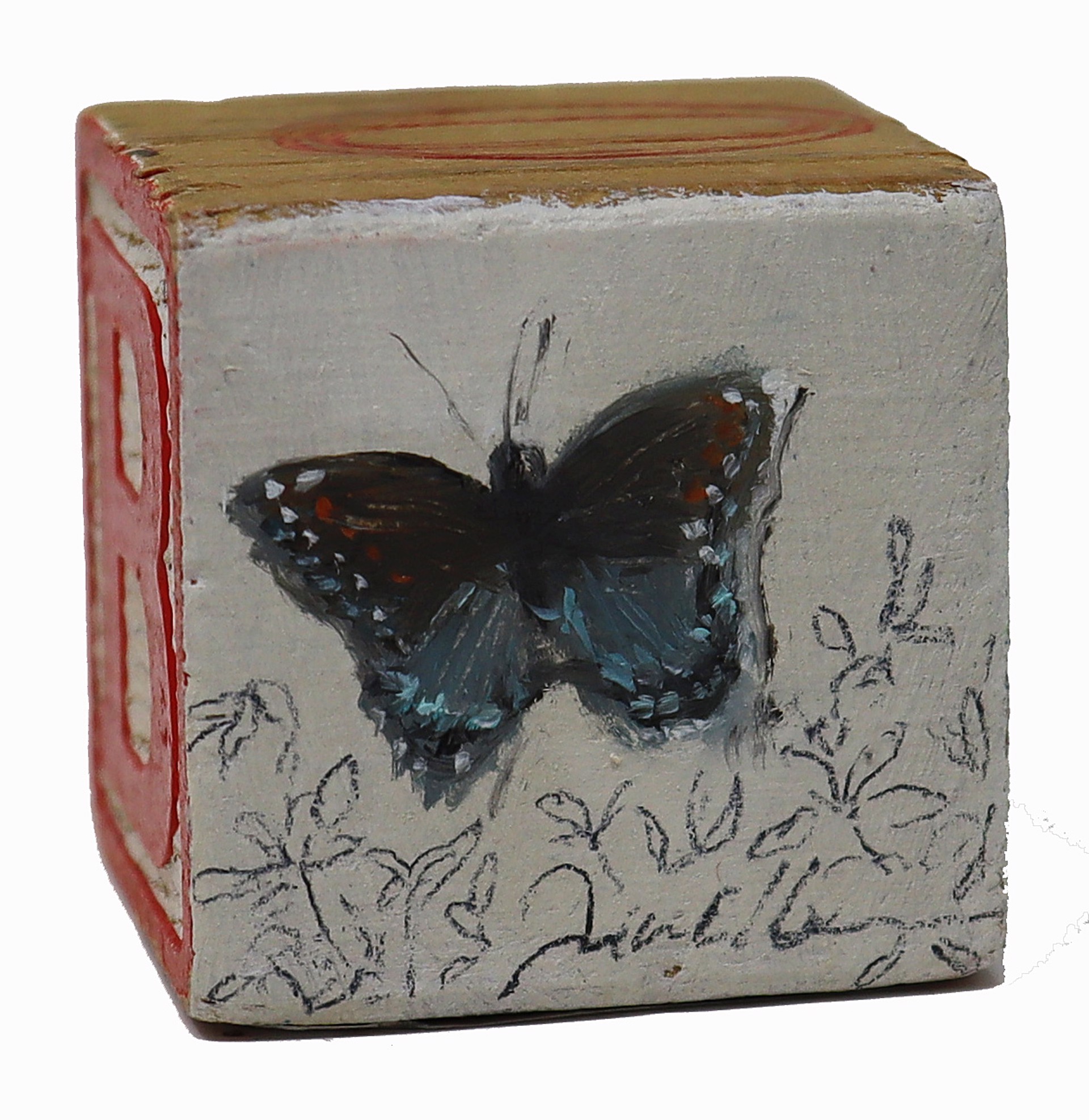 Butterfly by Scott E. Hill