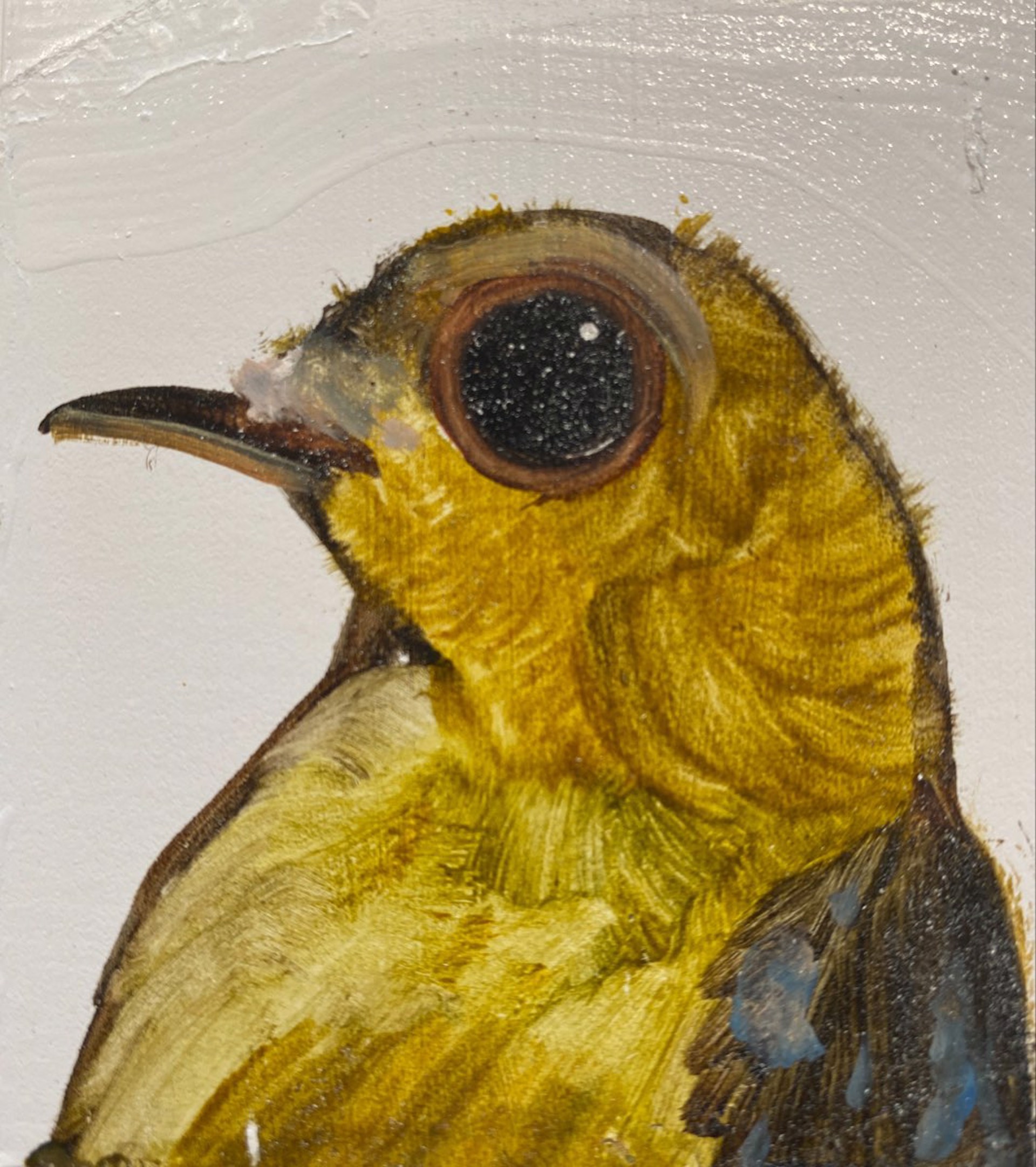 Medium Bird Block by Diane Kilgore Condon