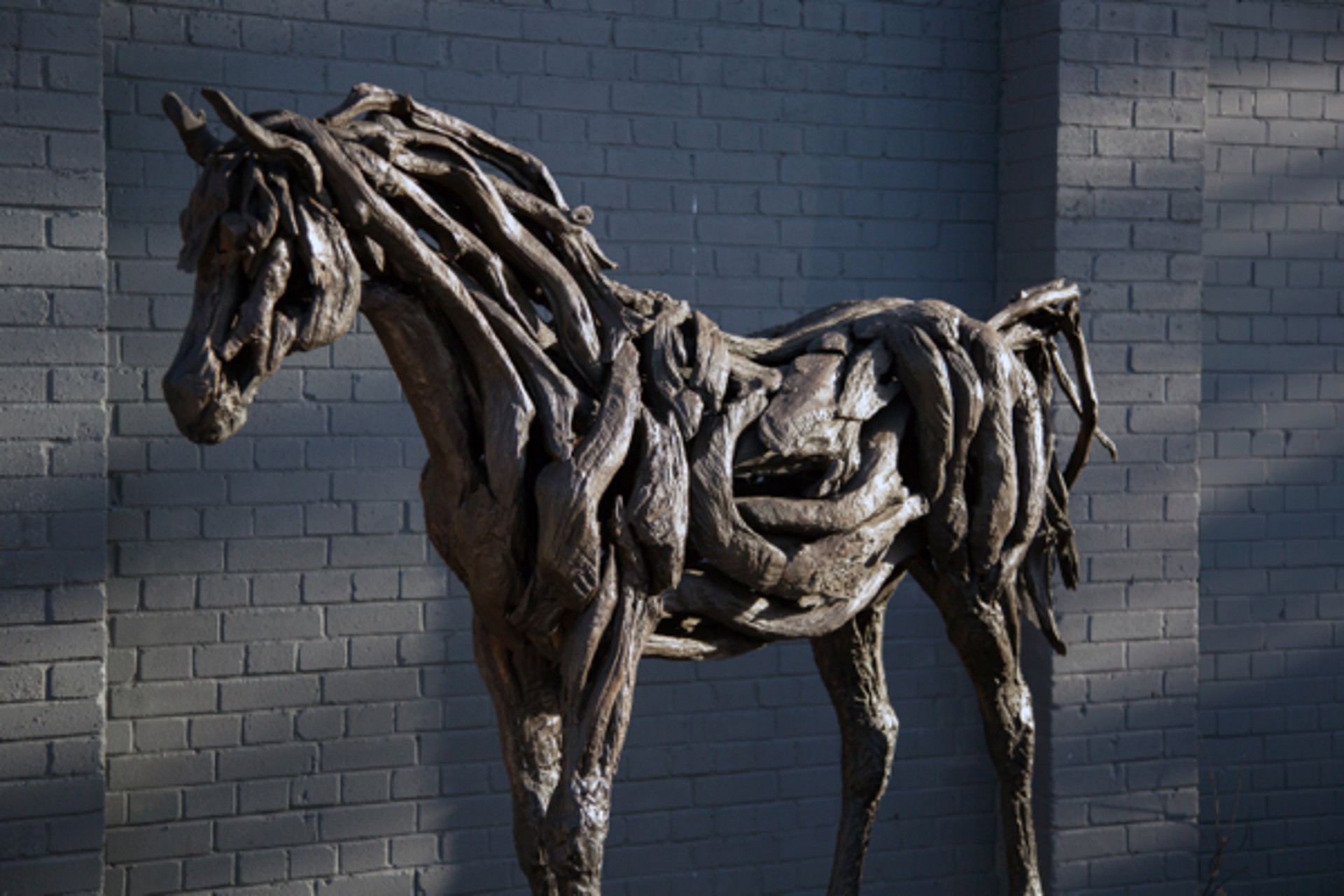 Young Arabian by Heather Jansch