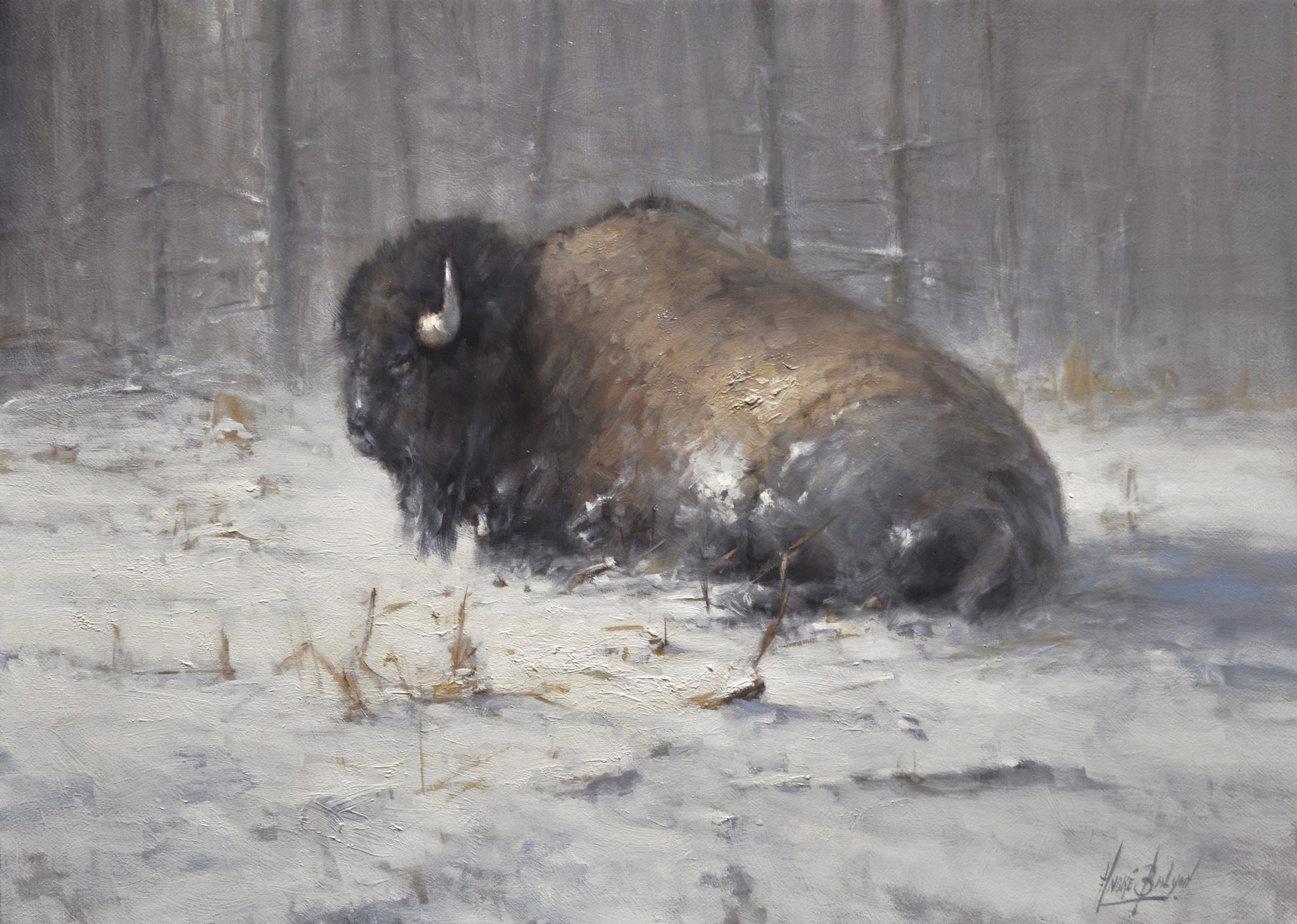 Winter Bison by Andre Balyon