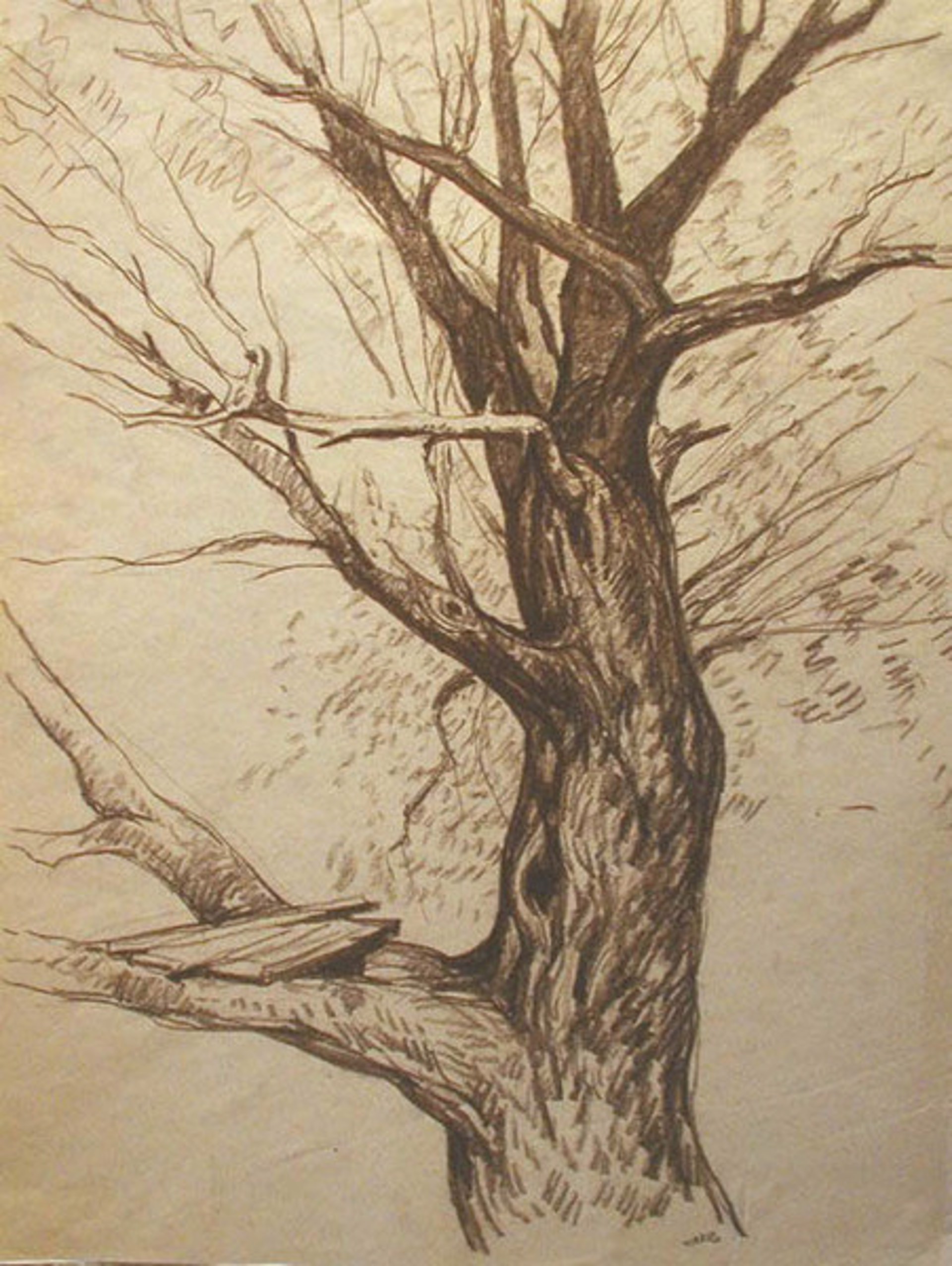 Tree by Mikhail Volodin