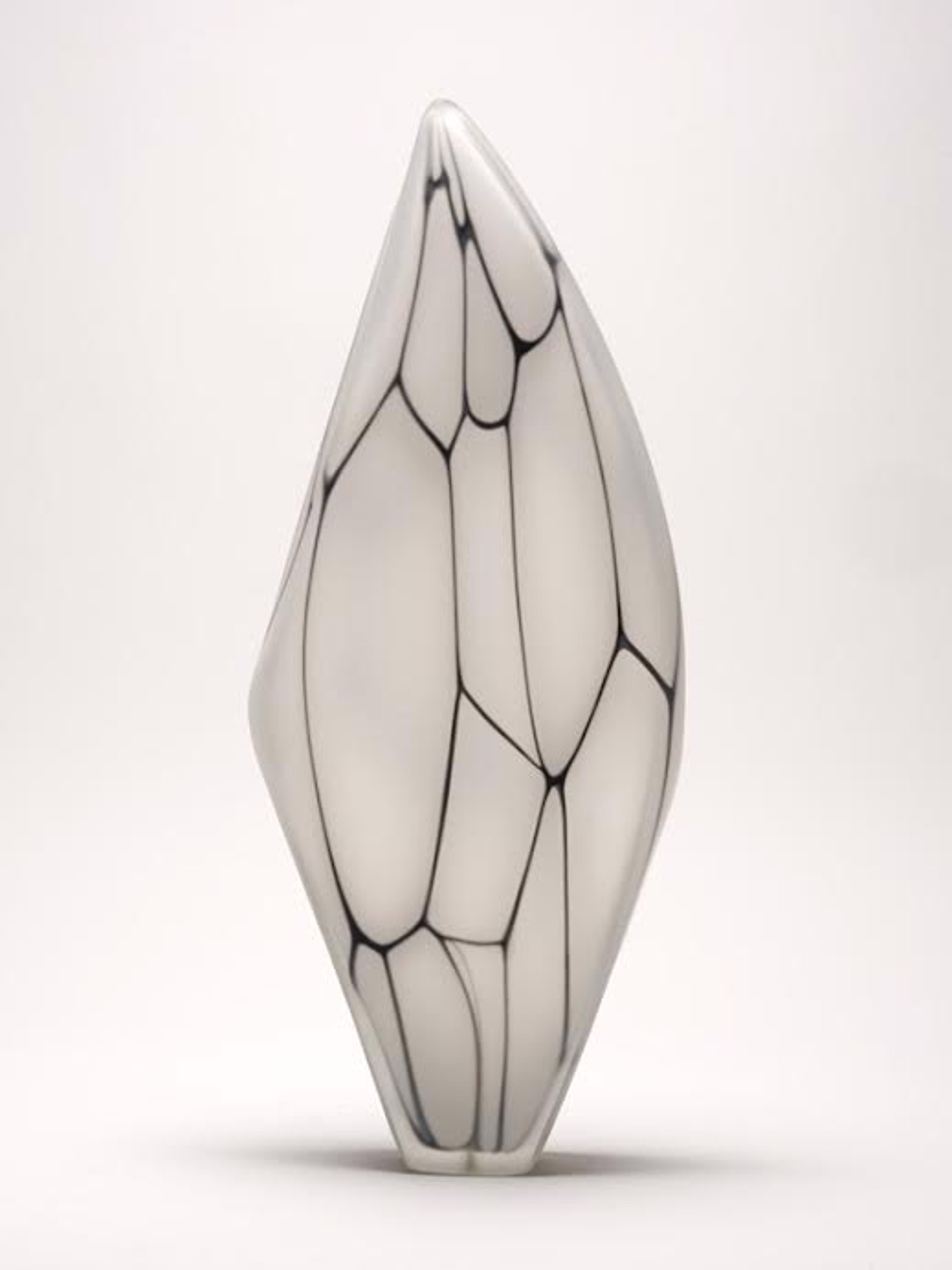 White, and Black Murrine form by HAYDEN WILSON