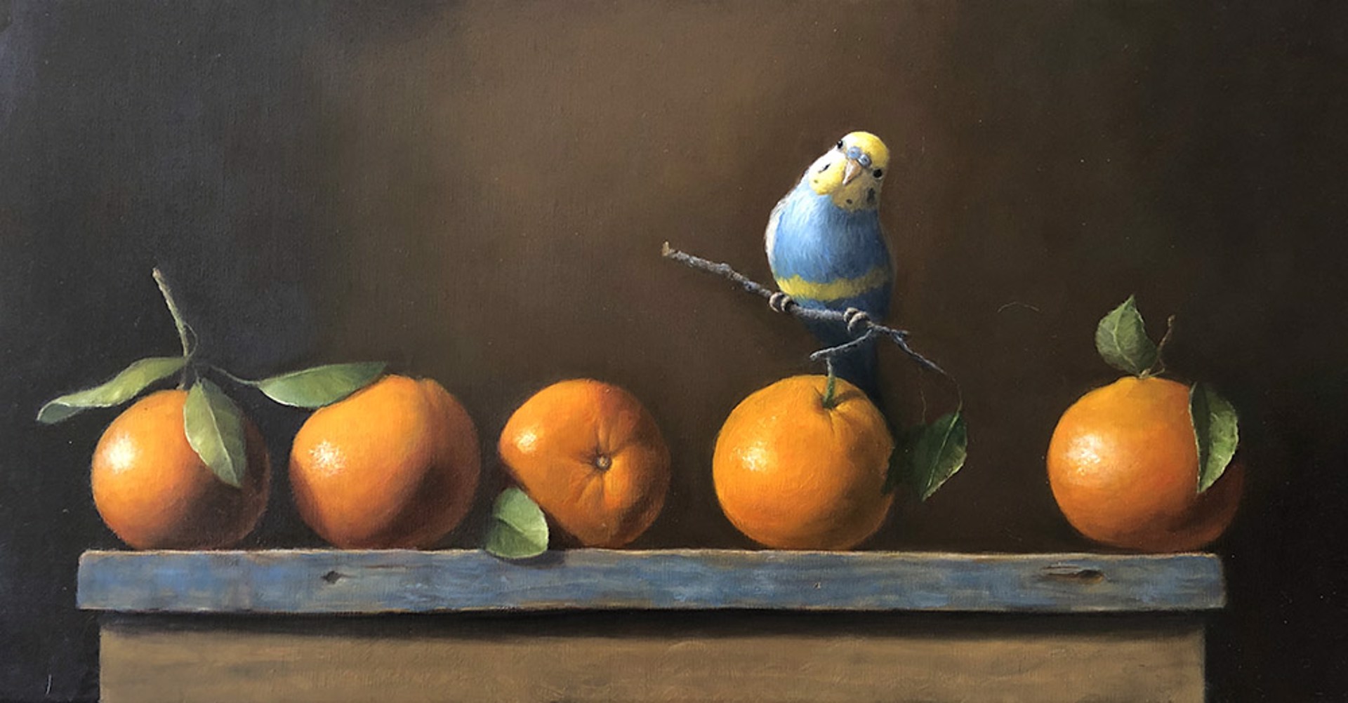 Parakeet on Orange Branch by Patt Baldino