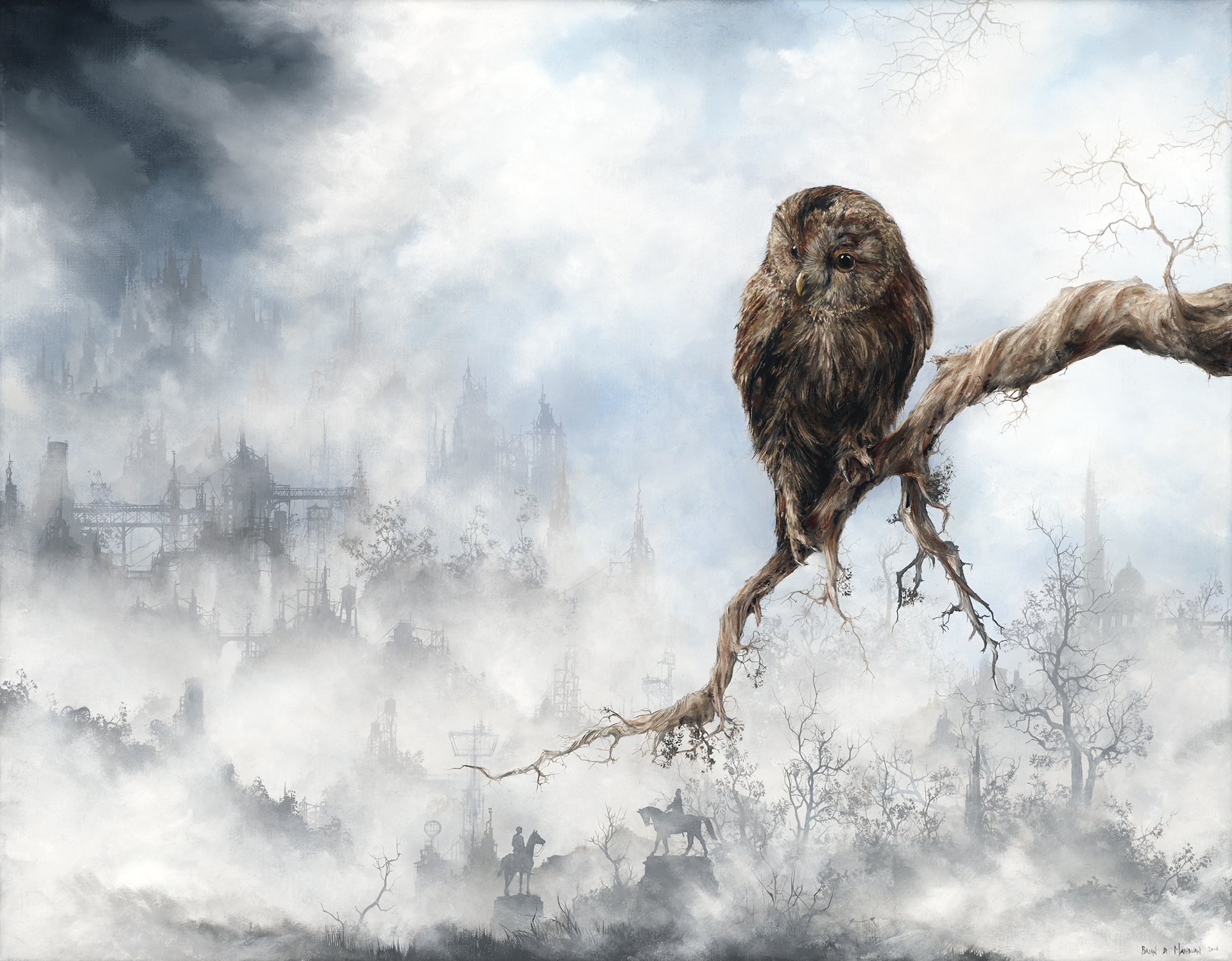 Tawny Owl by Brian Mashburn