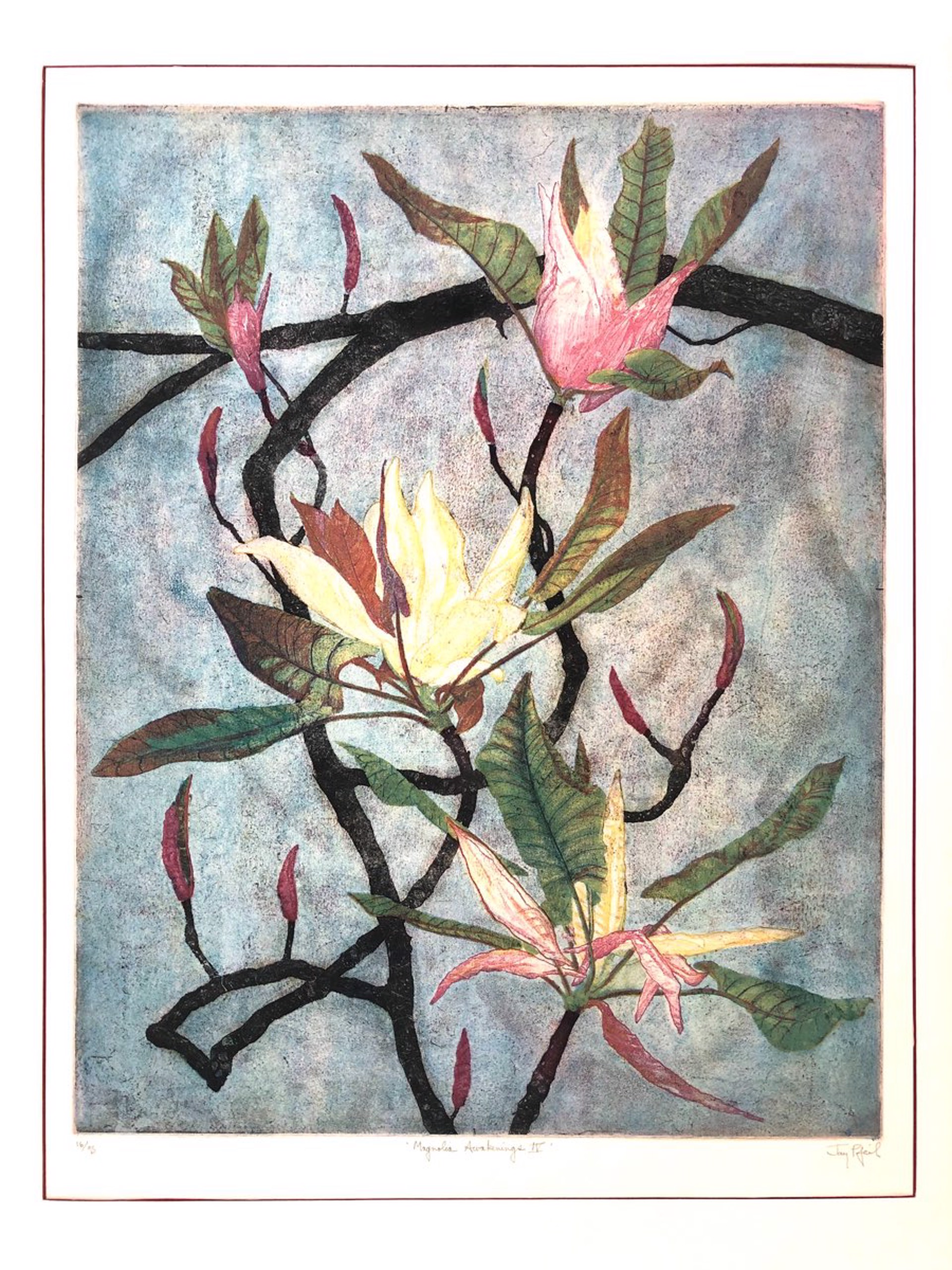Magnolia Awakening IV (Unframed) by Jay Pfeil