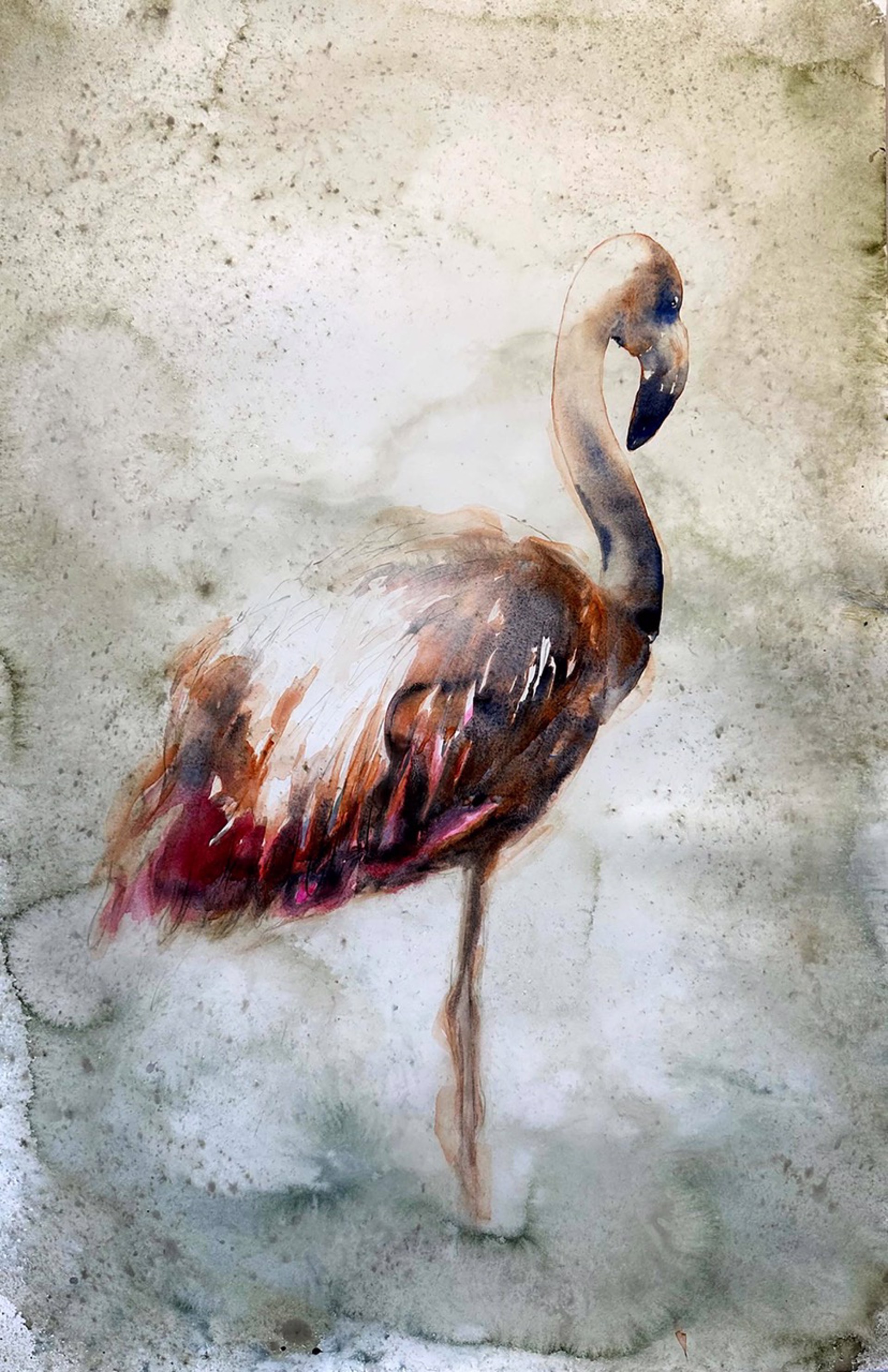 Birds of Florida - Flamingo by Carol Carter