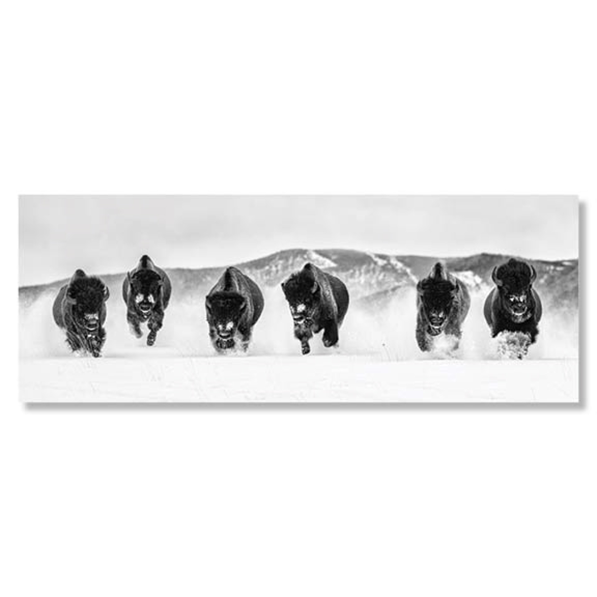 The Bills lll by David Yarrow