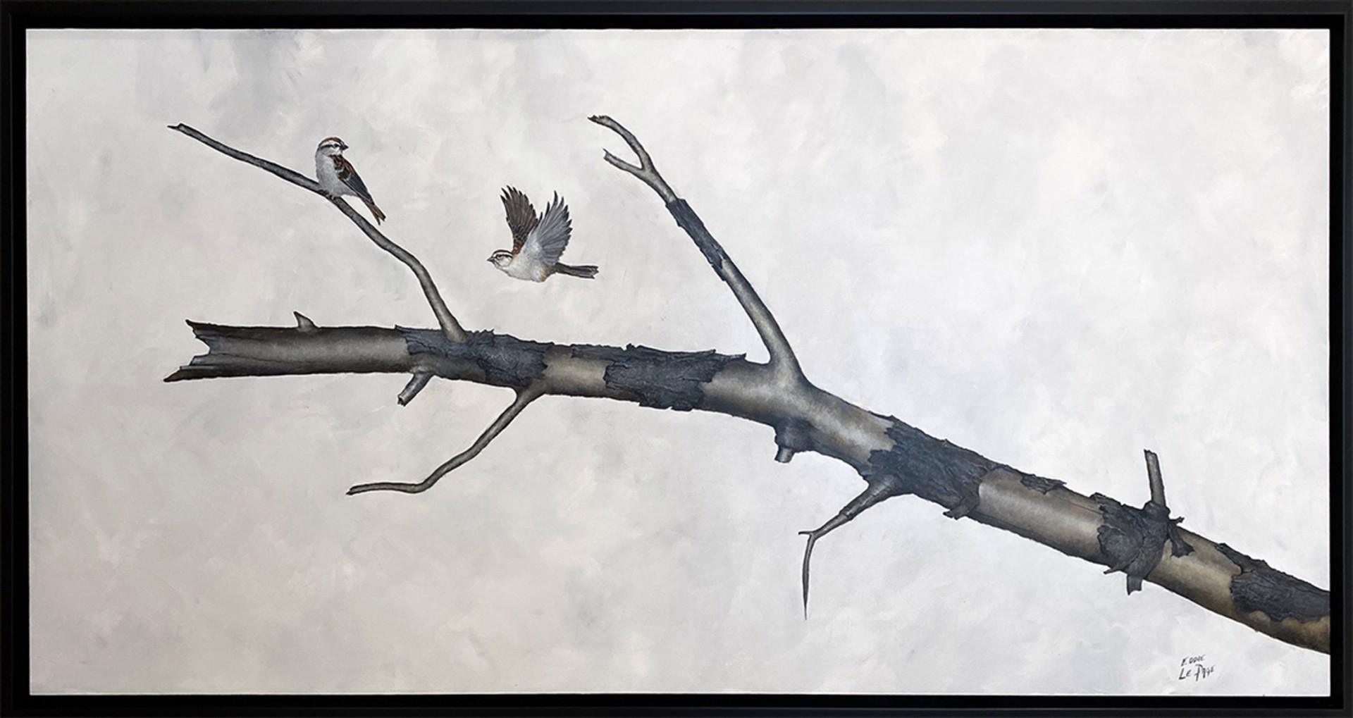 Chipping Sparrows by Eddie LePage