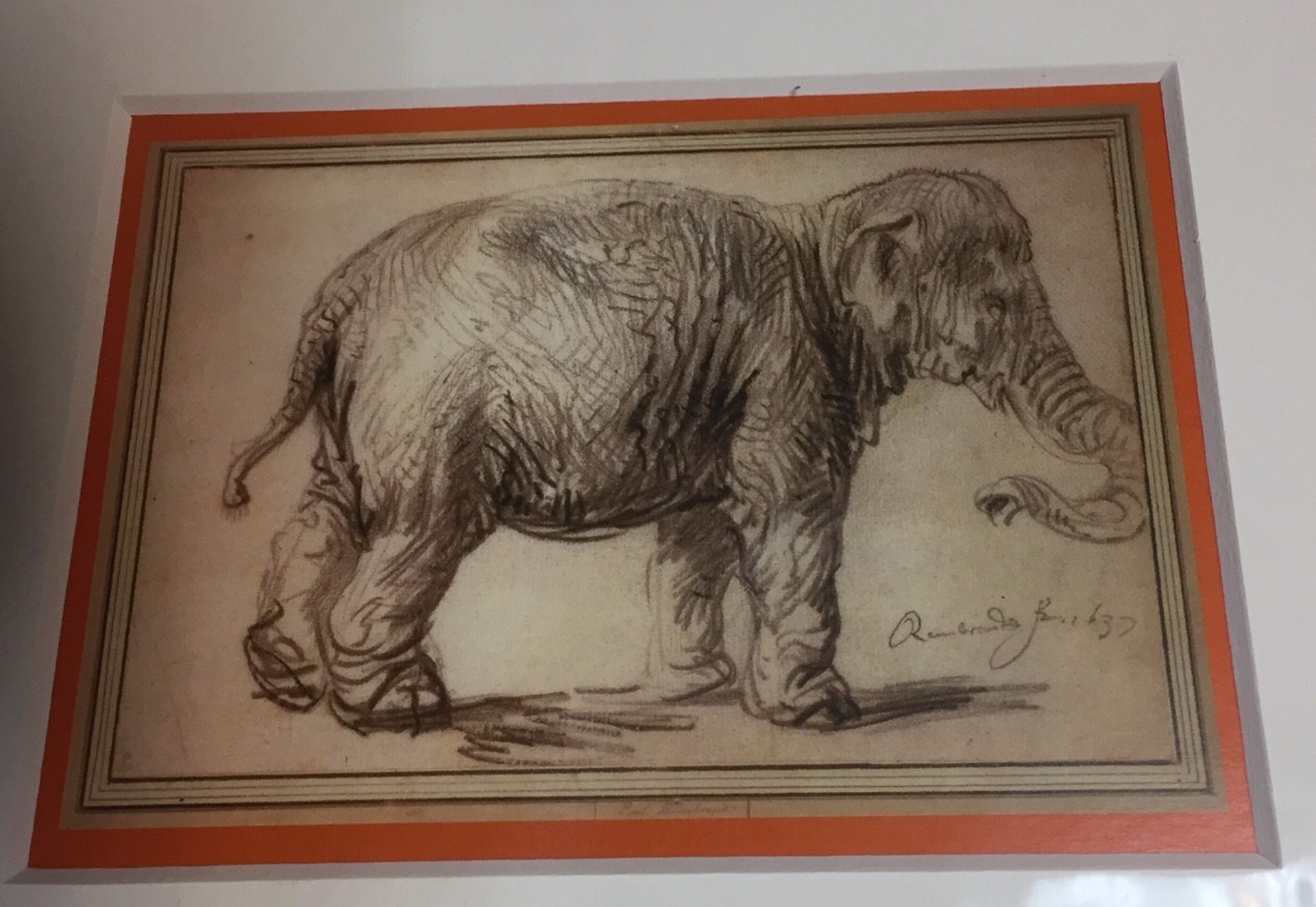 Custom framing for Rembrandt 'Elephant' 