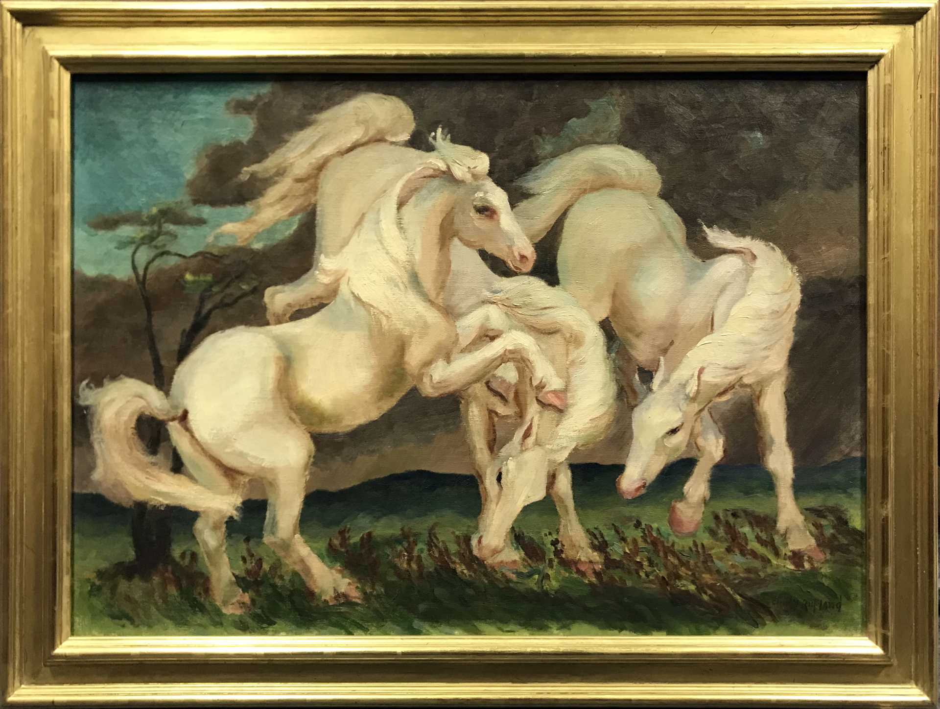 White Stallions by Emily Rutland