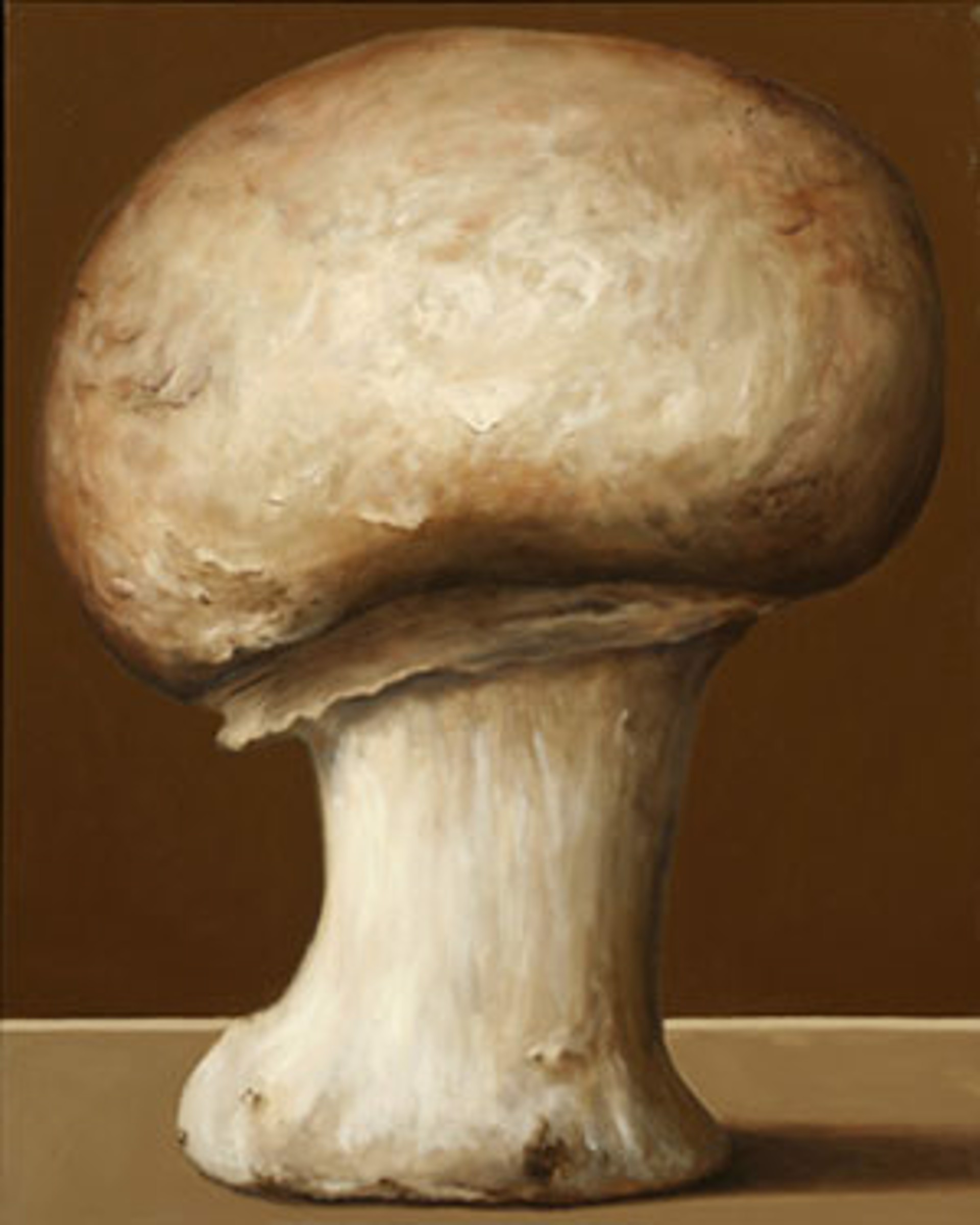 Mushroom on Brown by Bill Chisholm