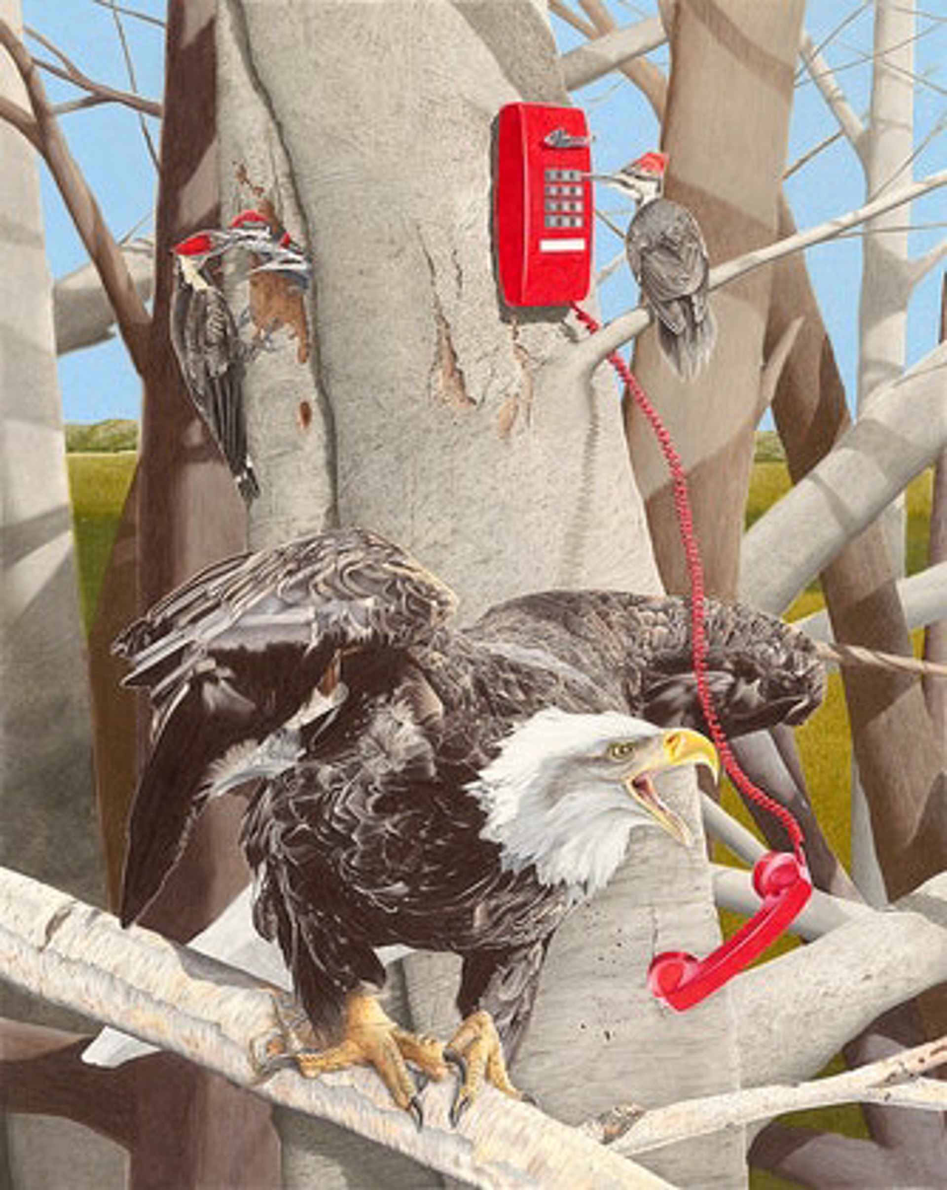 Four Calling Birds 1 - Eagle Full Size Framed Print by Paul Van Heest