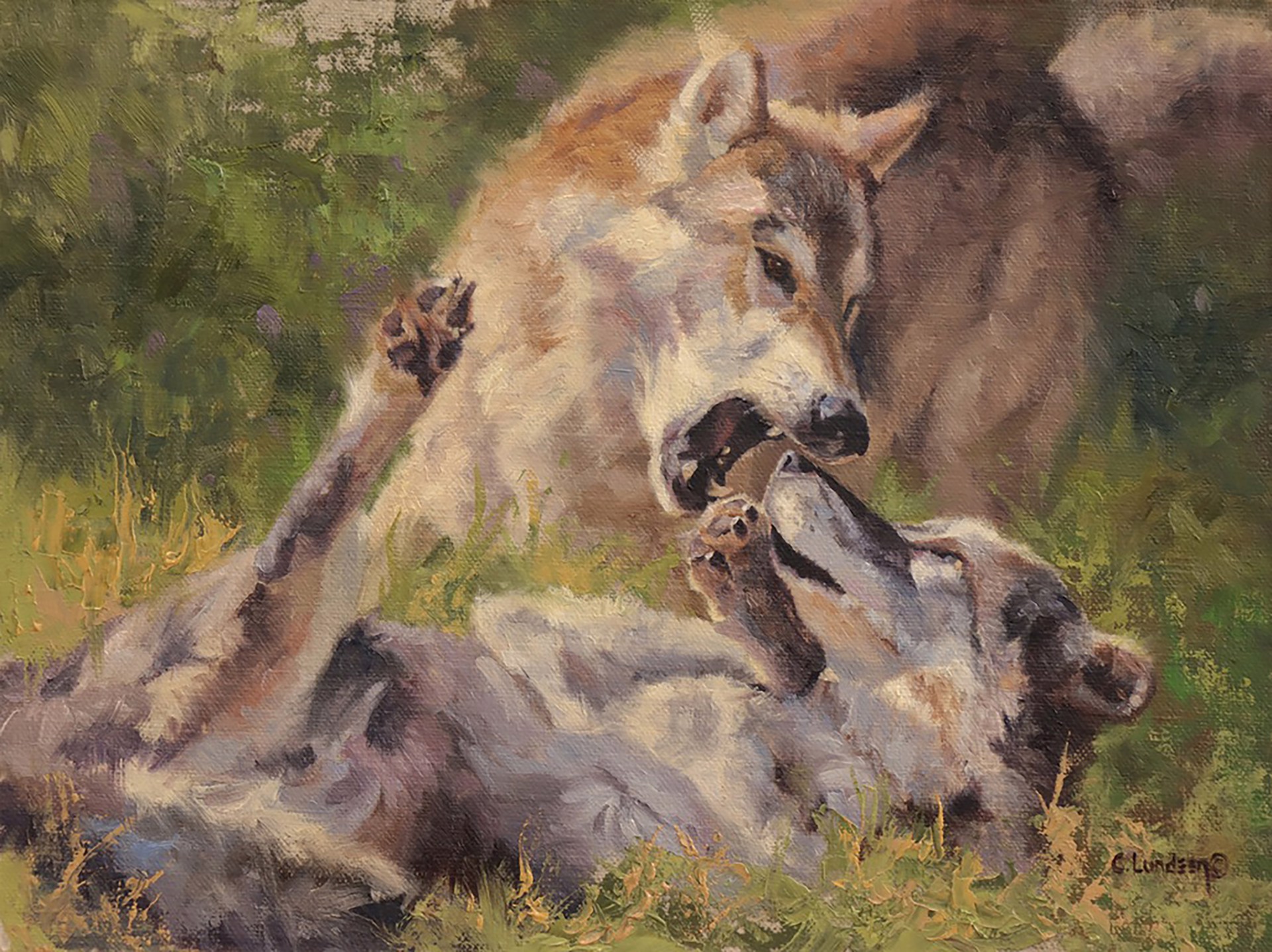 A Show of Dominance- Wolves by Carol Lundeen