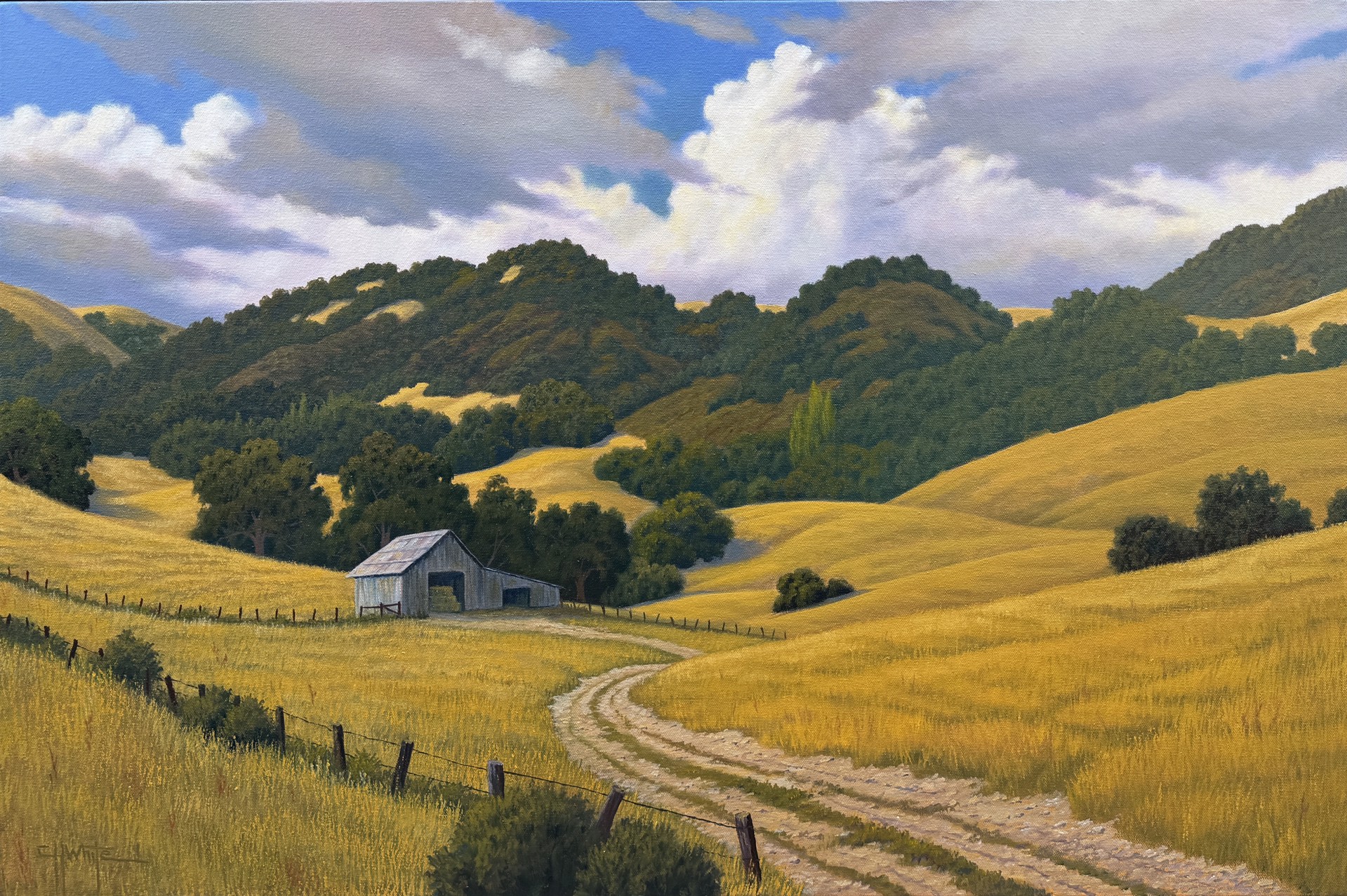 Summertime Hills by Charles White