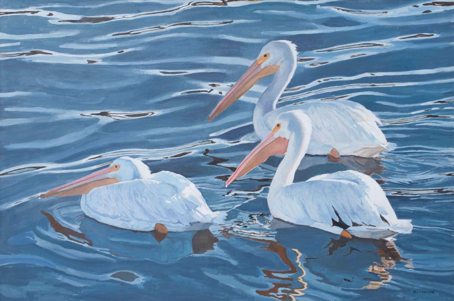 White Pelicans by Mary Louise O'Sullivan