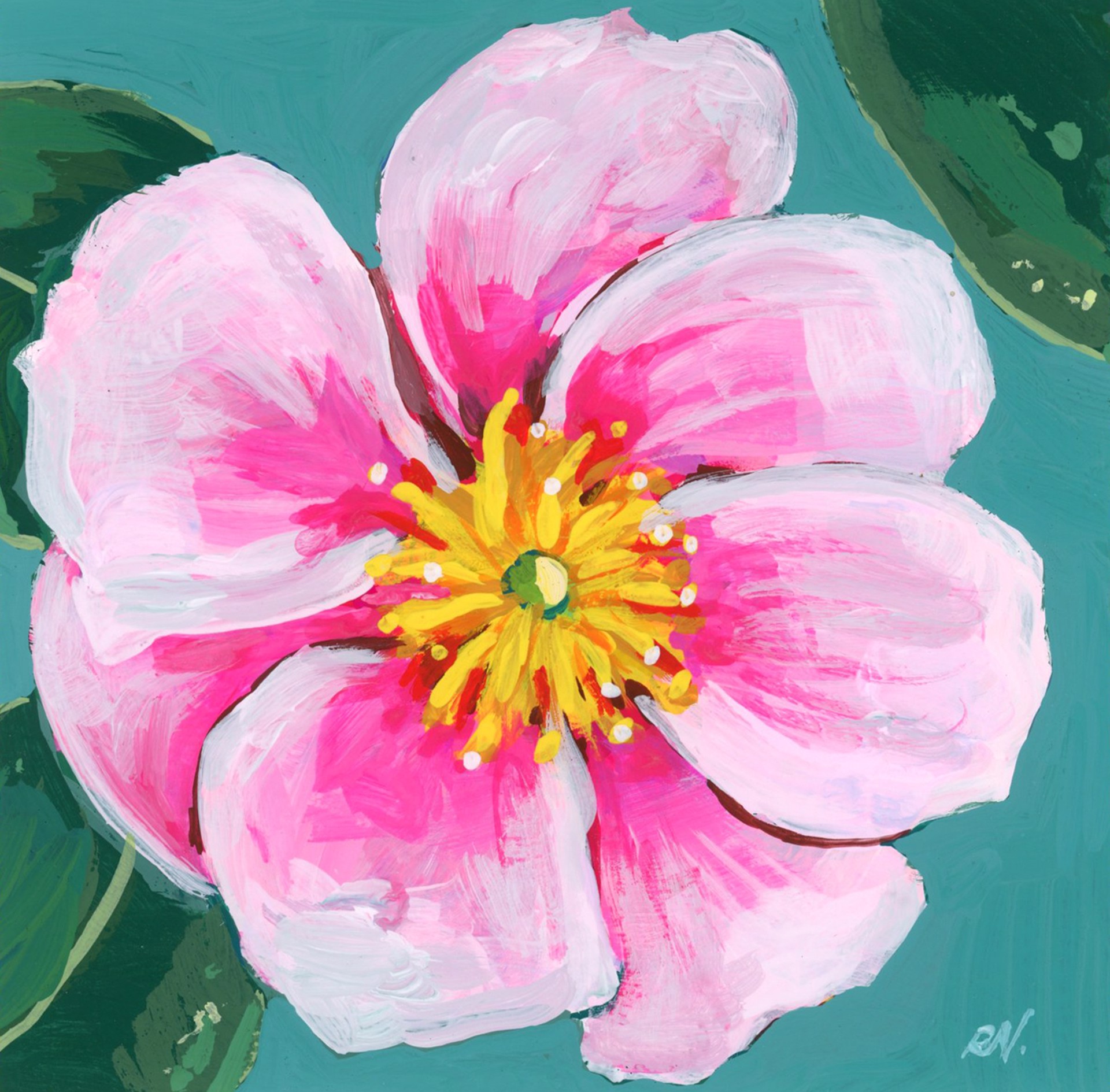 Camellia I by Rachael Nerney