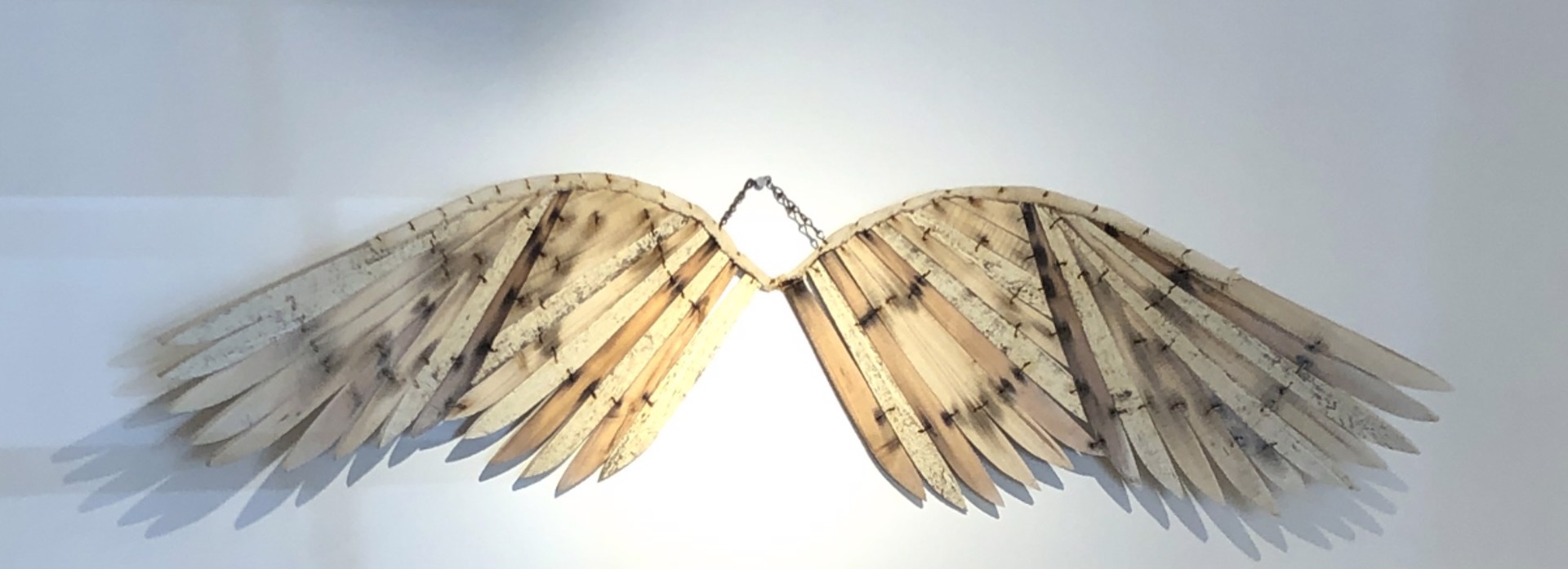 Whooping Crane Wings by Geoffrey Gorman