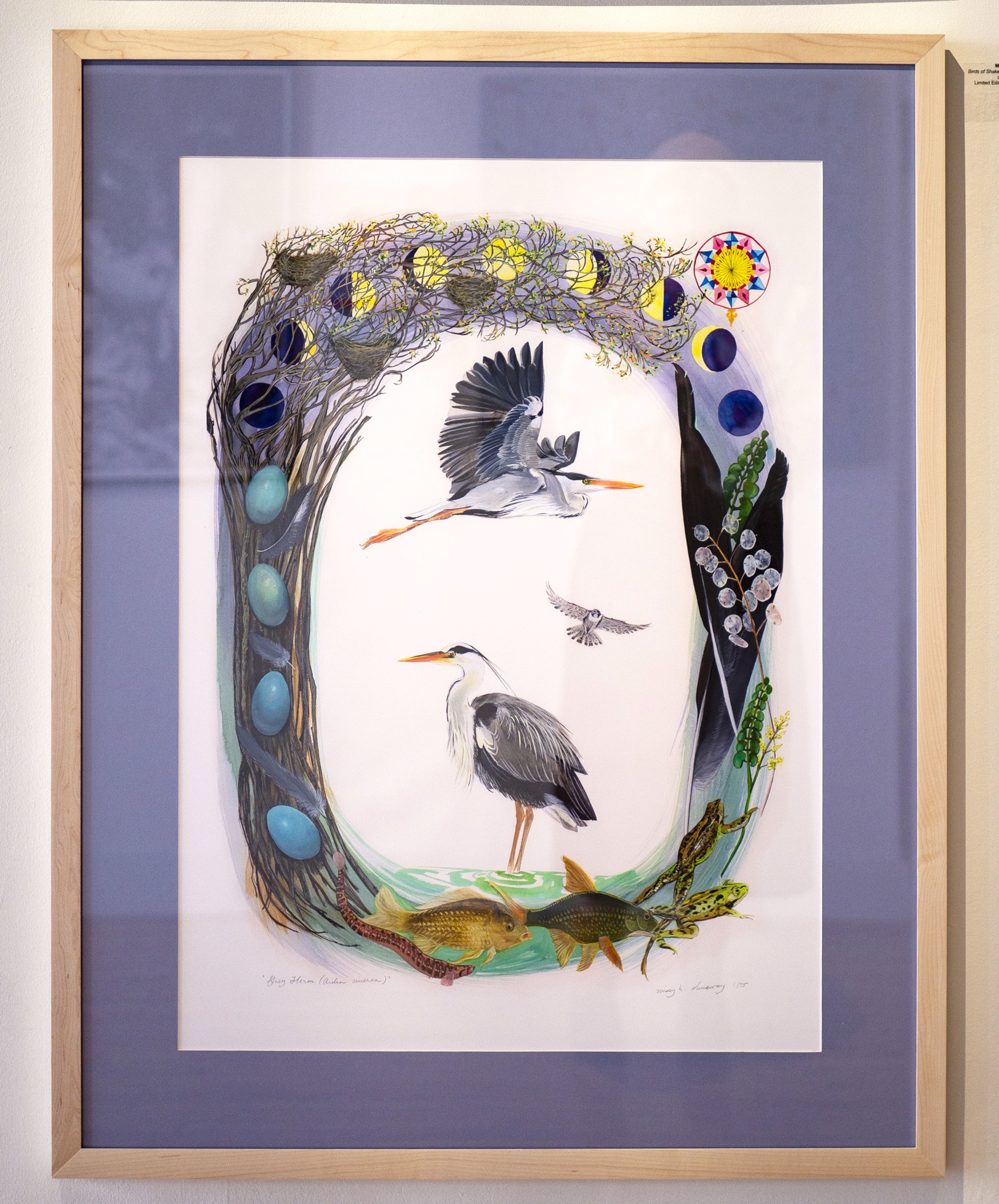 Birds of Shakespeare: Grey Heron (Ardea cinerea) by Missy Dunaway