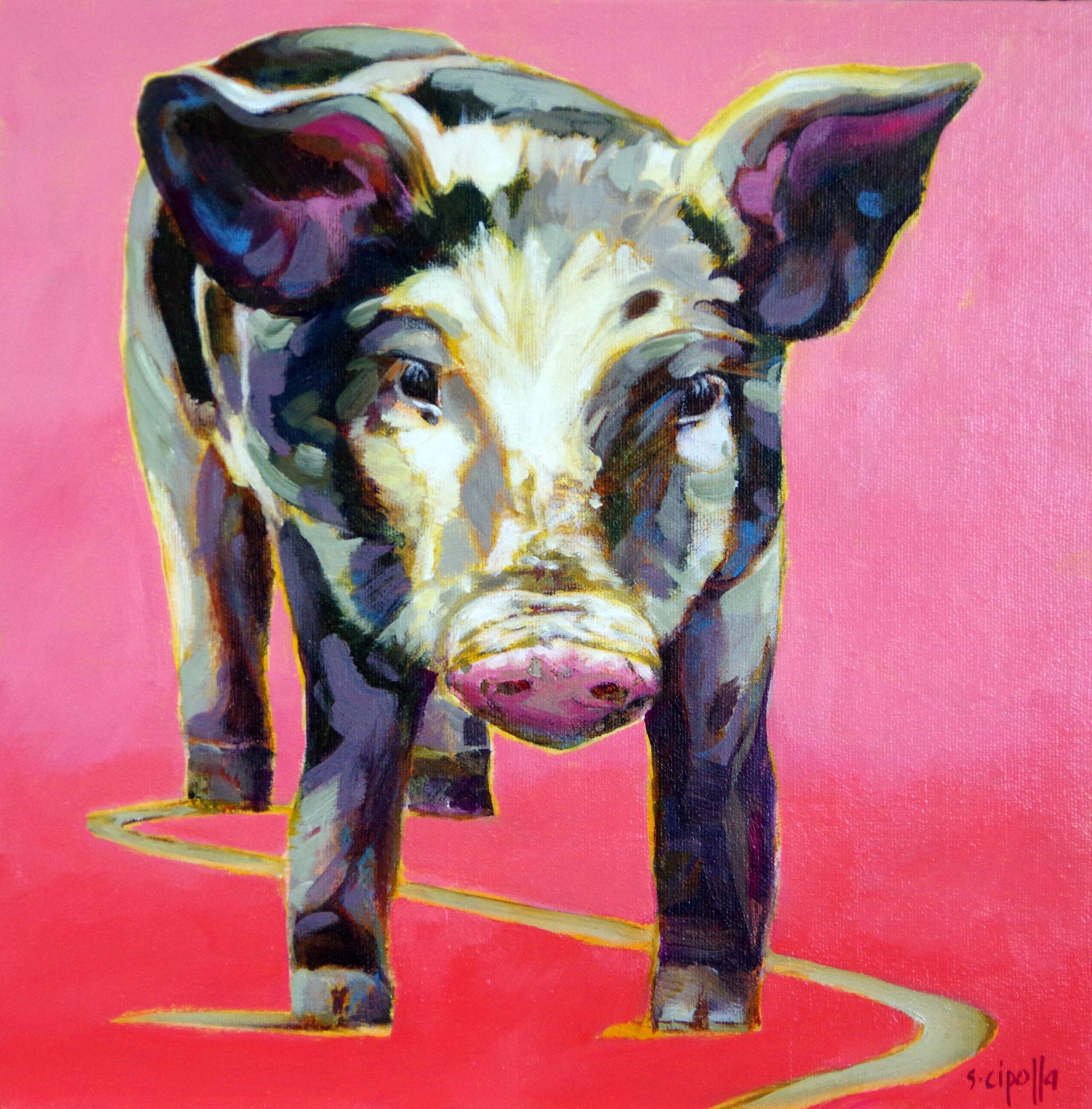 This Little Pig by SUSIE CIPOLLA