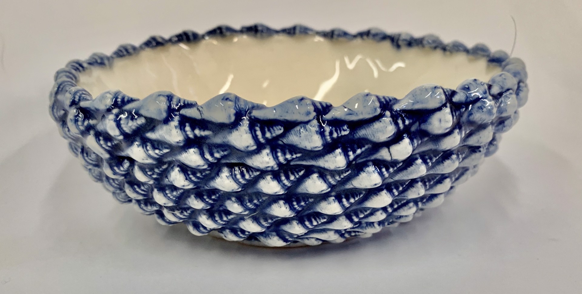 Blue Whelk Shell Bowl by Jennifer Clifford Danner