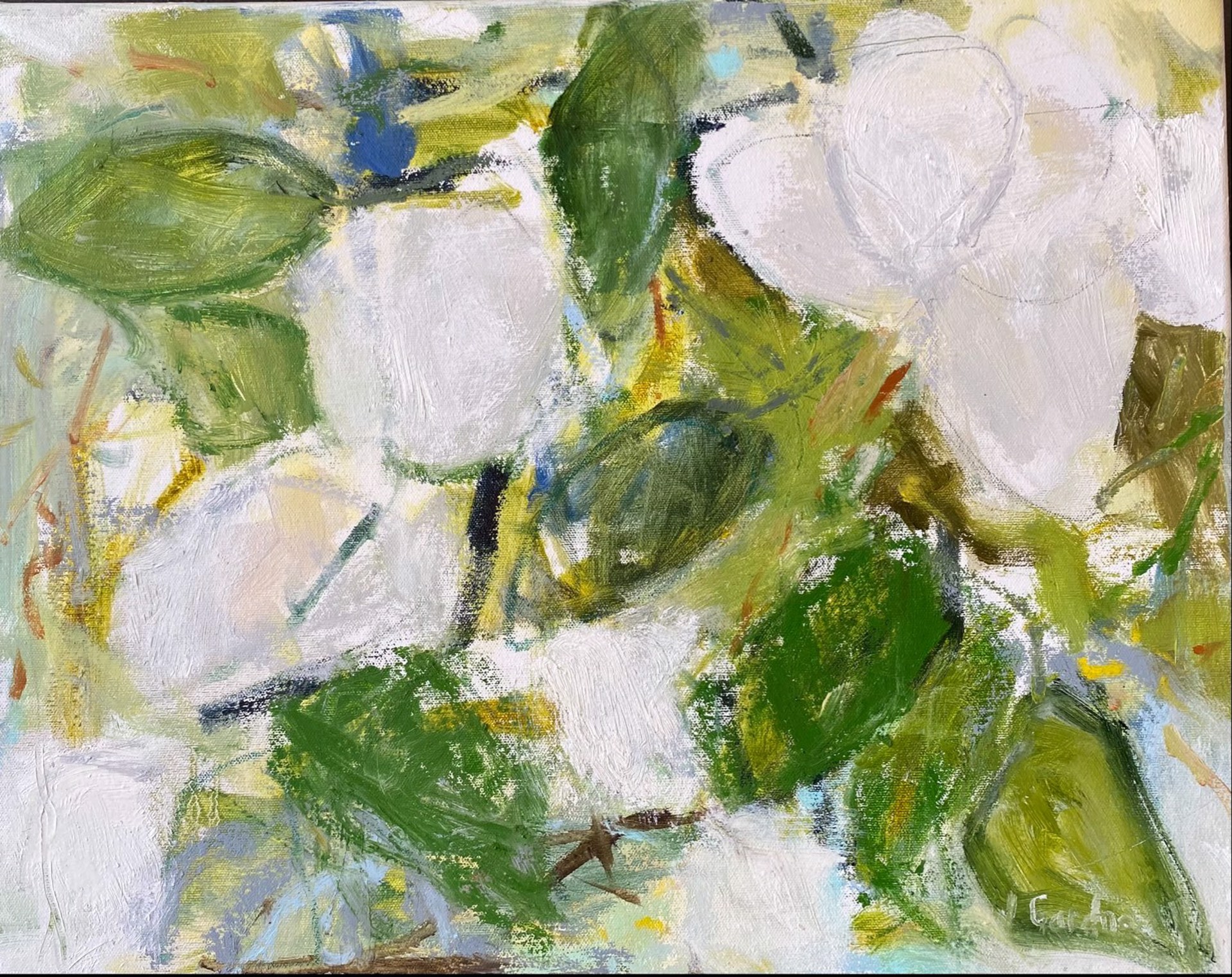 Southern Magnolia 4 by Joy Gardner