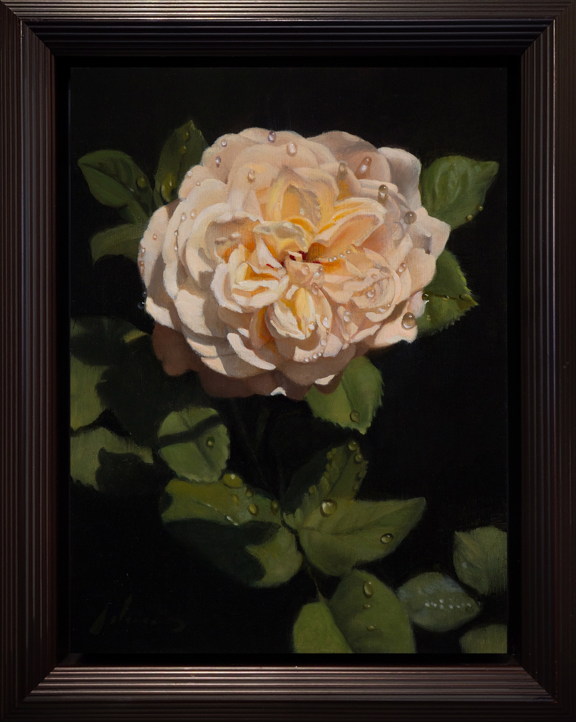 White Rose by Michael Lynn Adams