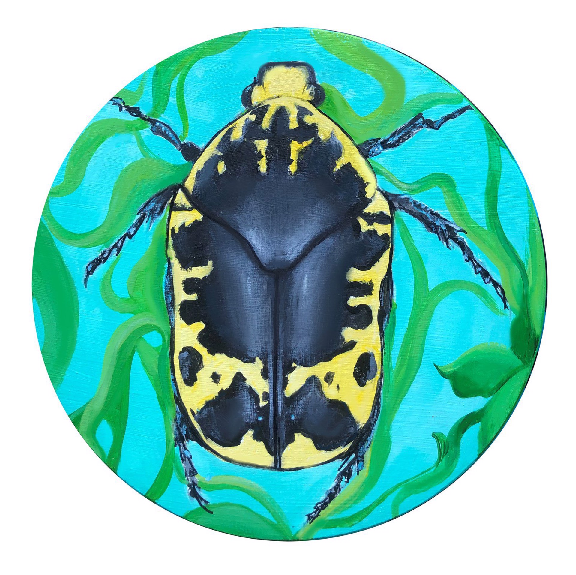 Beetle 2 by Pamela Mower-Conner