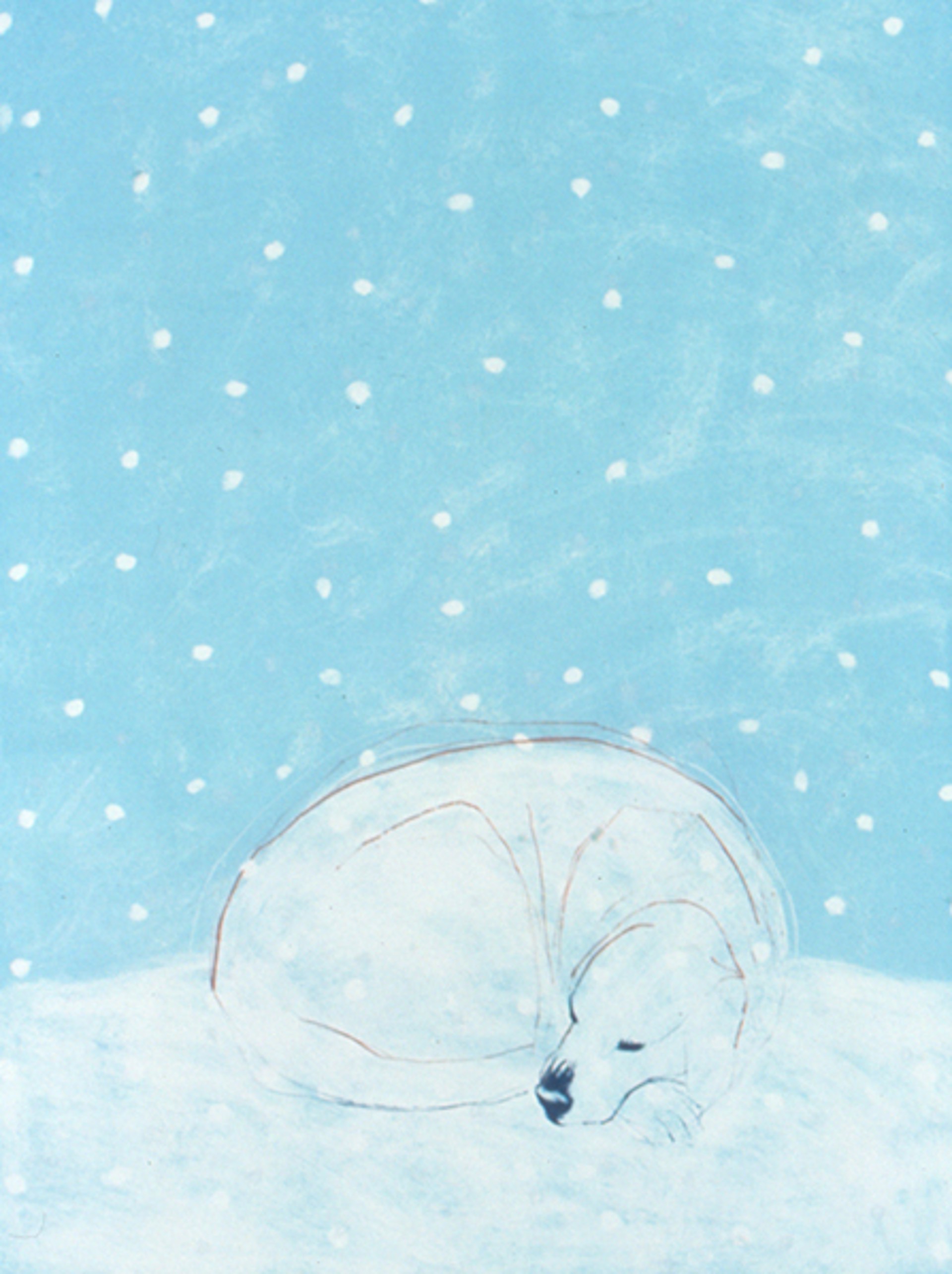 Sleeping in the Snow by Paula Schuette Kraemer