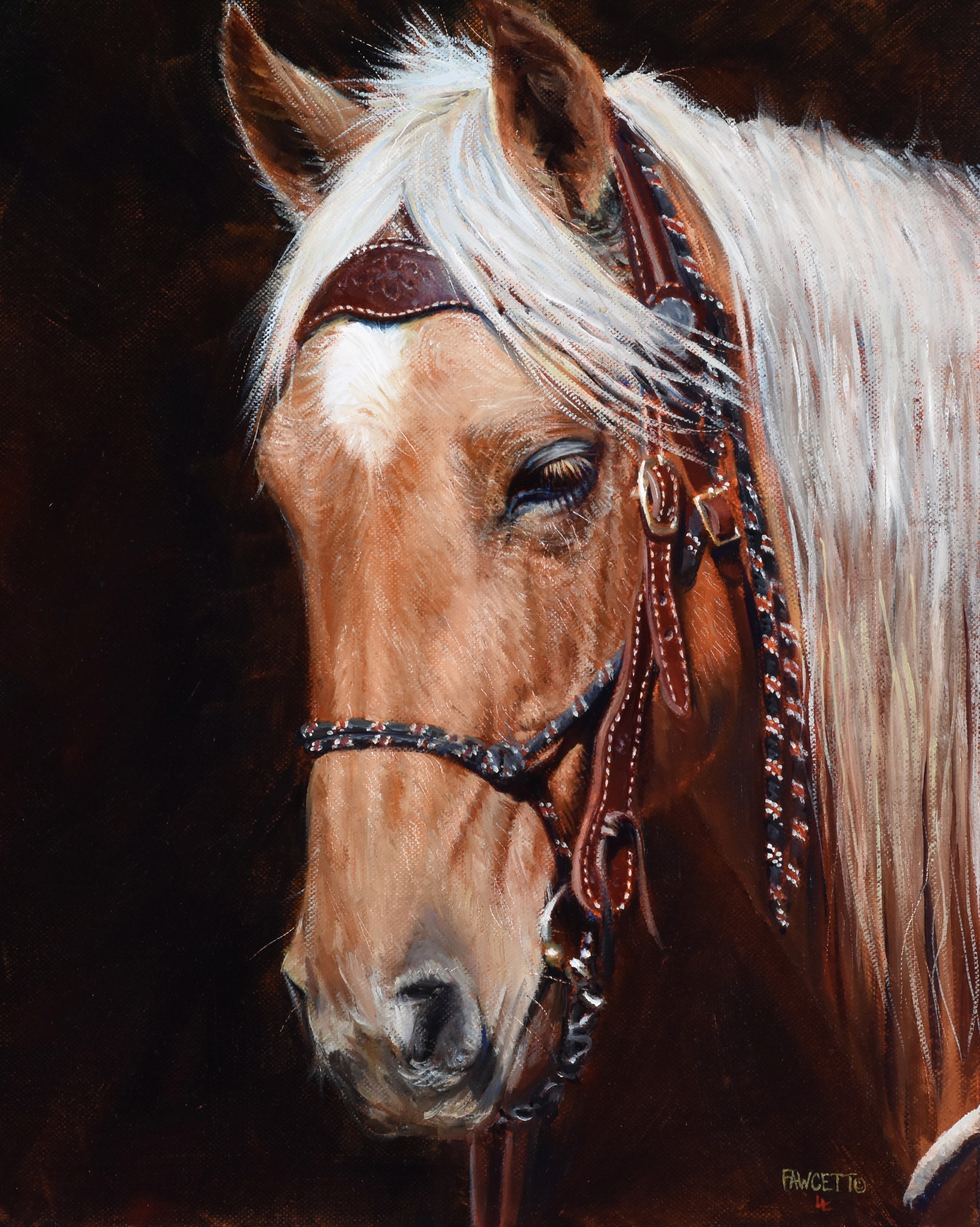 Palomino Gold by John Fawcett
