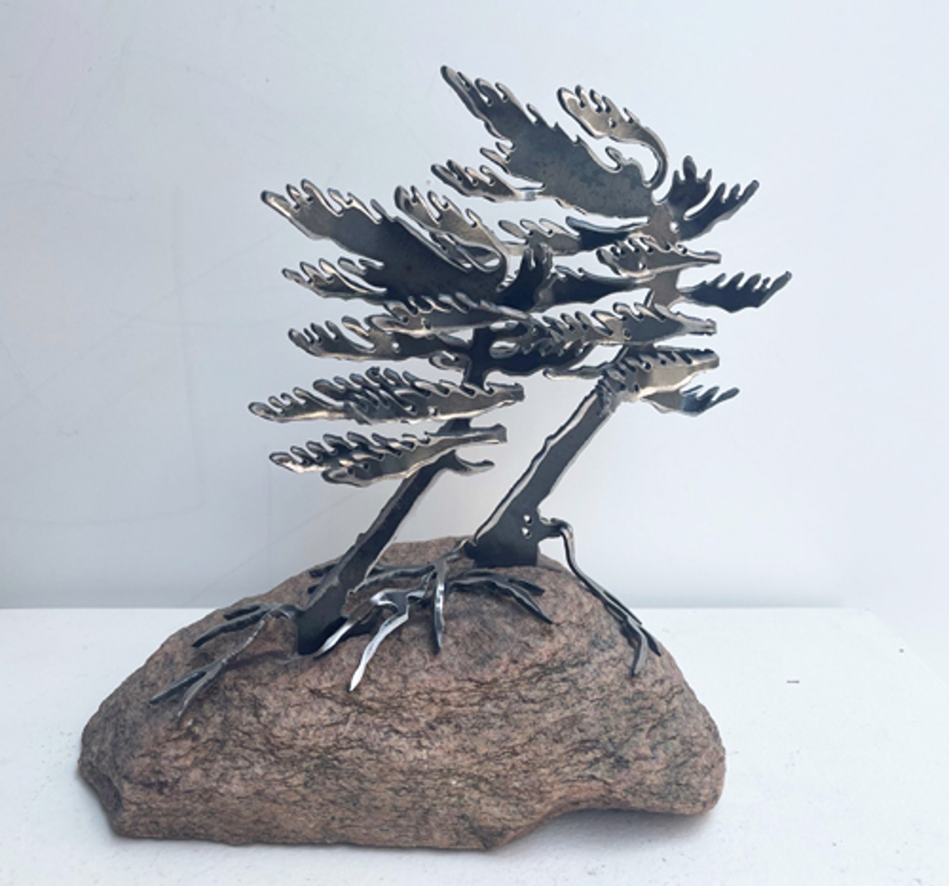 Two Windswept Pine 659760 by Cathy Mark