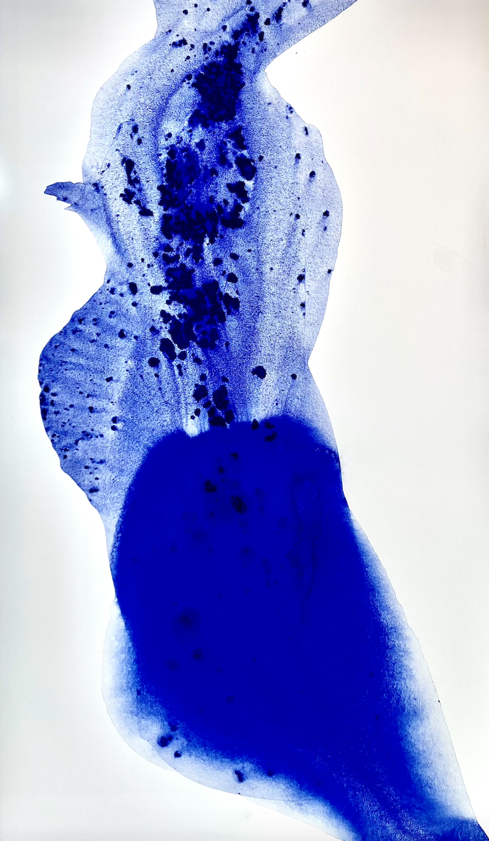 Visions in Blue by Clara Berta