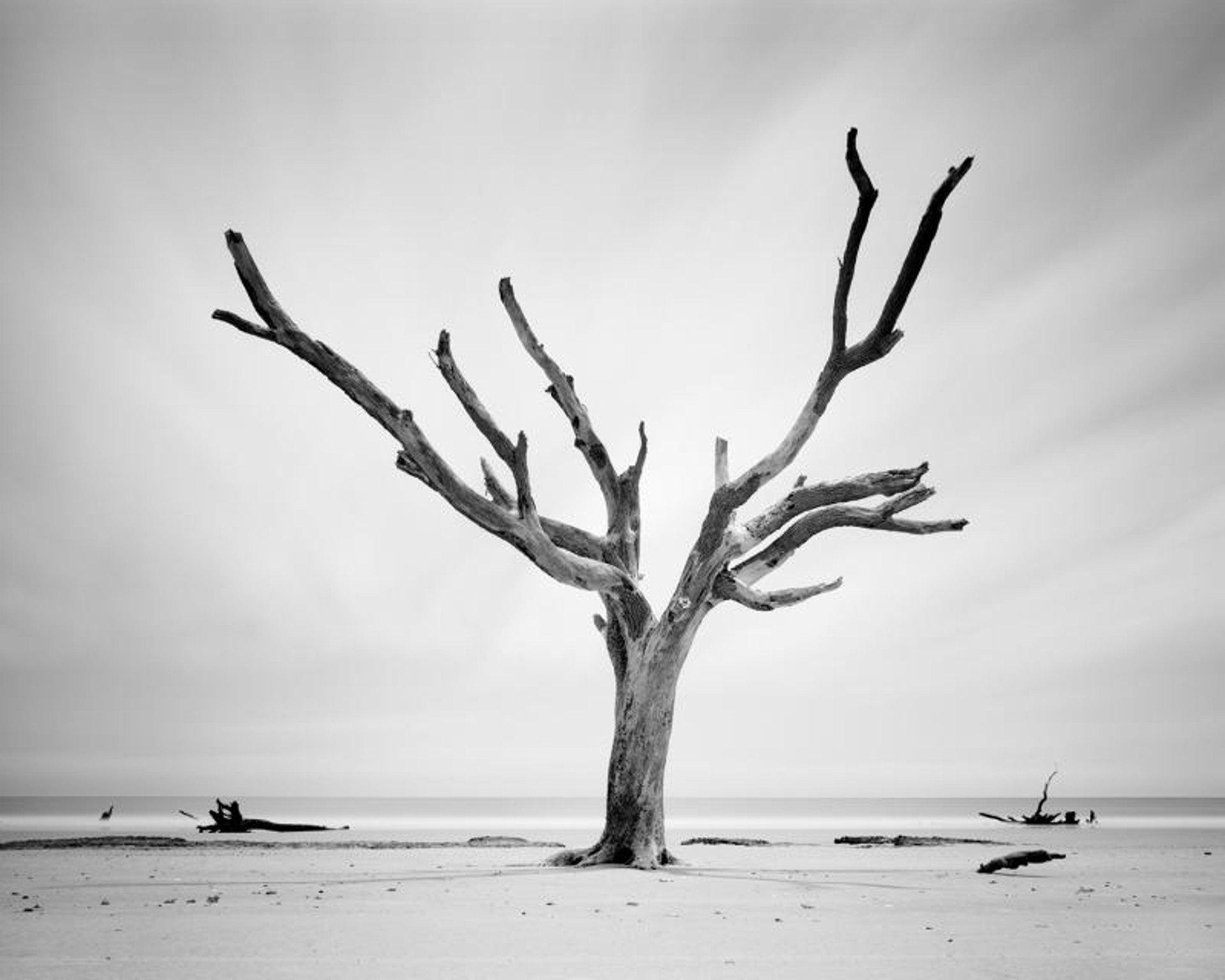 Hunting Island, XIX by Mike Basher
