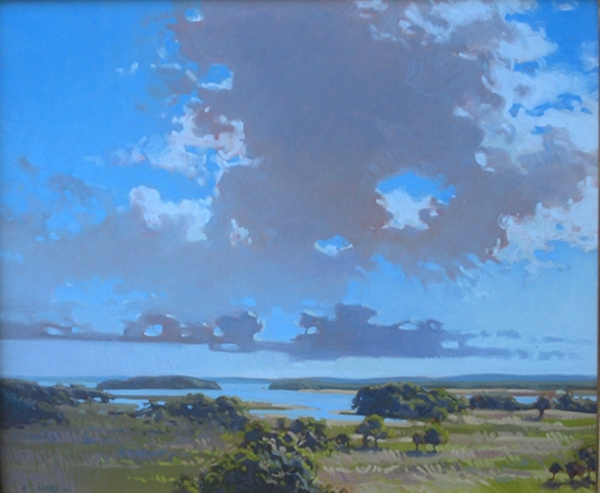 Marsh Sky by George Martin