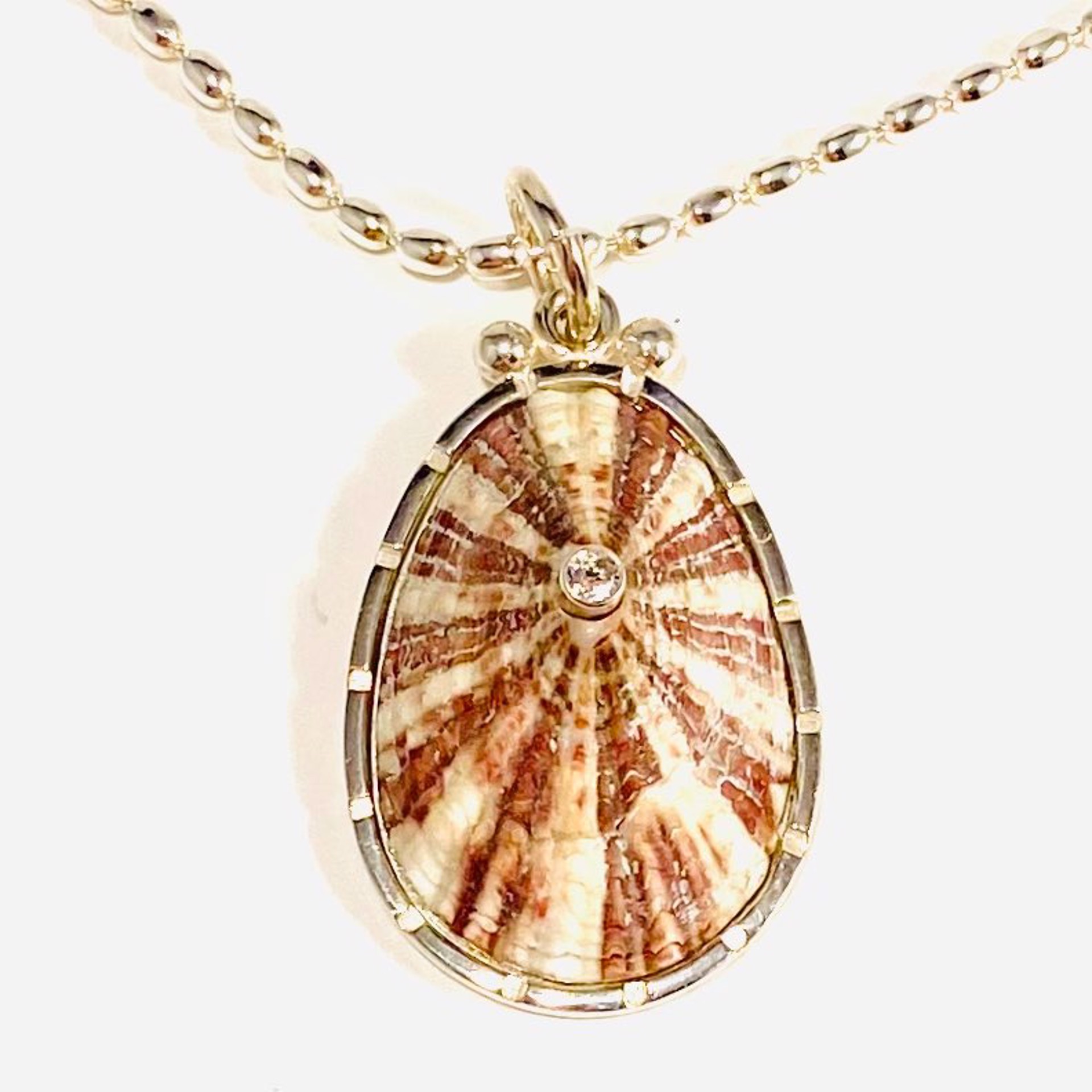 BU22-20  Keyhole Limpet Shell White Topaz Pendant on 18"Silver Rice Chain Necklac by Barbara Umbel