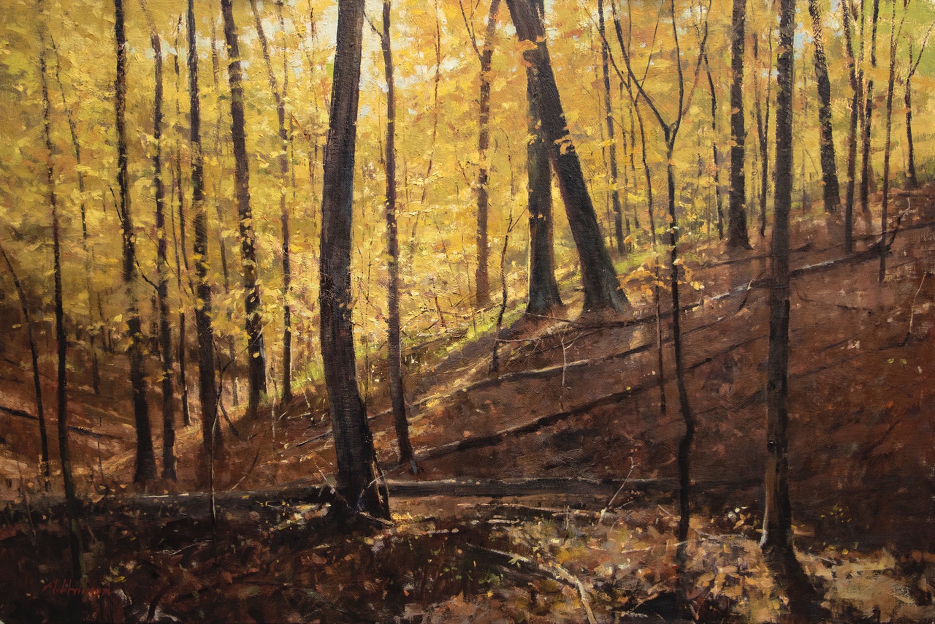 Woods of Gold by Marc Hanson, OPAM
