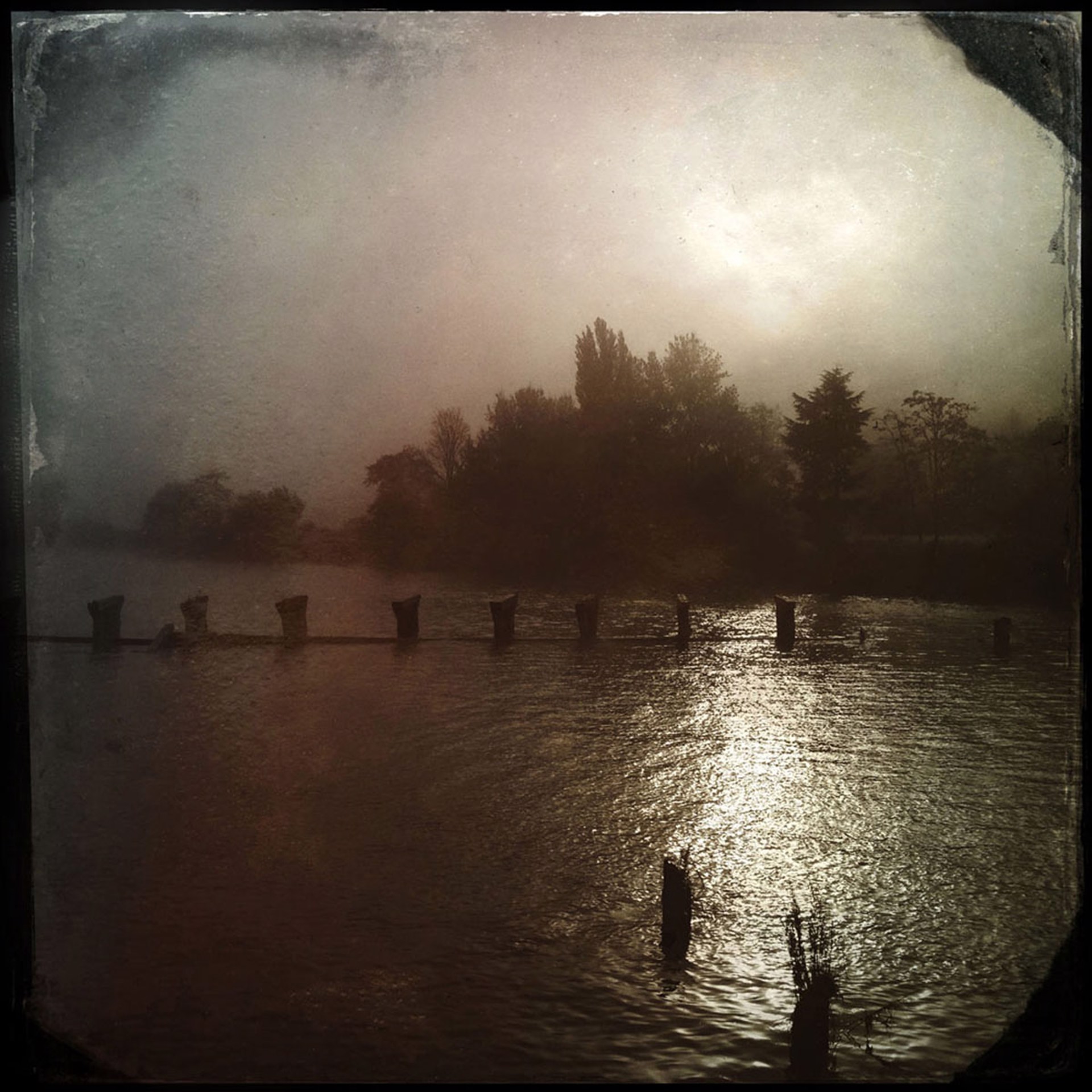 Morning Fog by Arlene Stanger