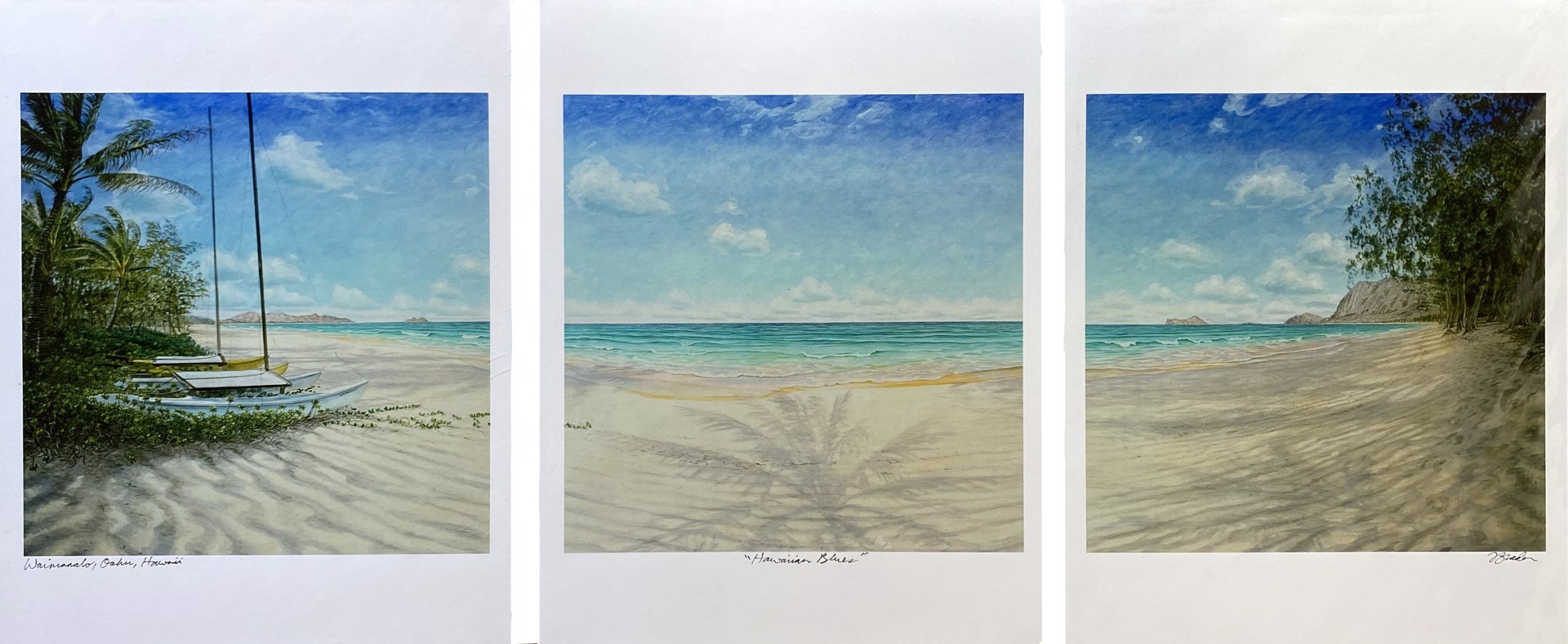 Hawaiian Blues (Triptych) by Bill Braden