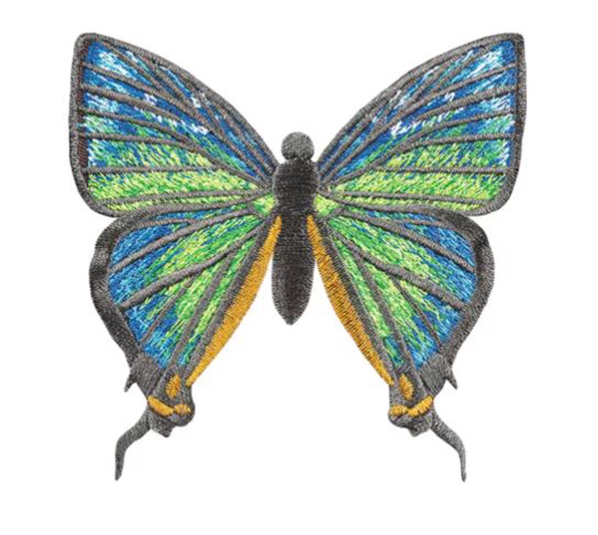 Thecla Hyas Butterfly 4" by Stephen Wilson