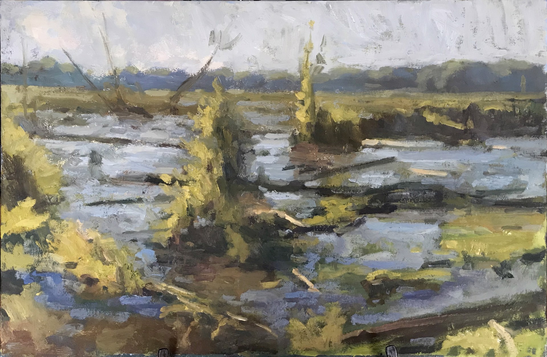 Marsh by Patrick Lee