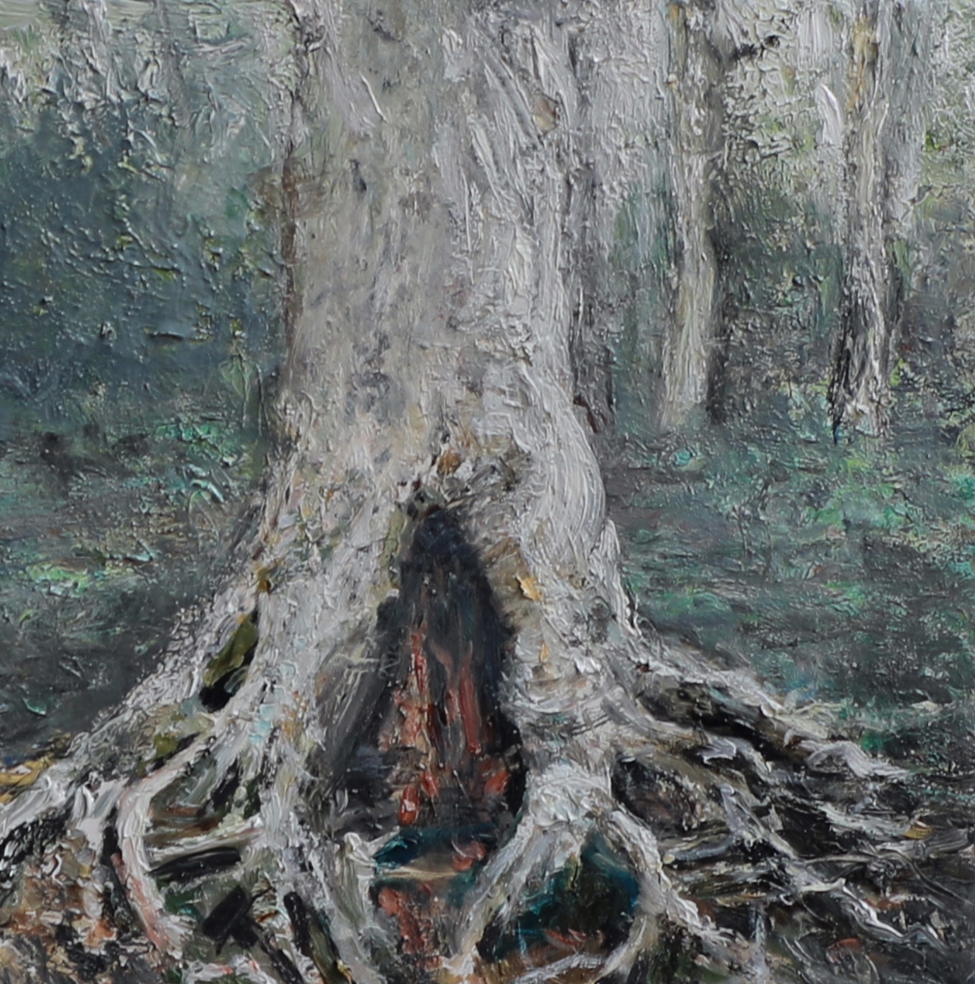 Beach Tree Roots by Judith Peck