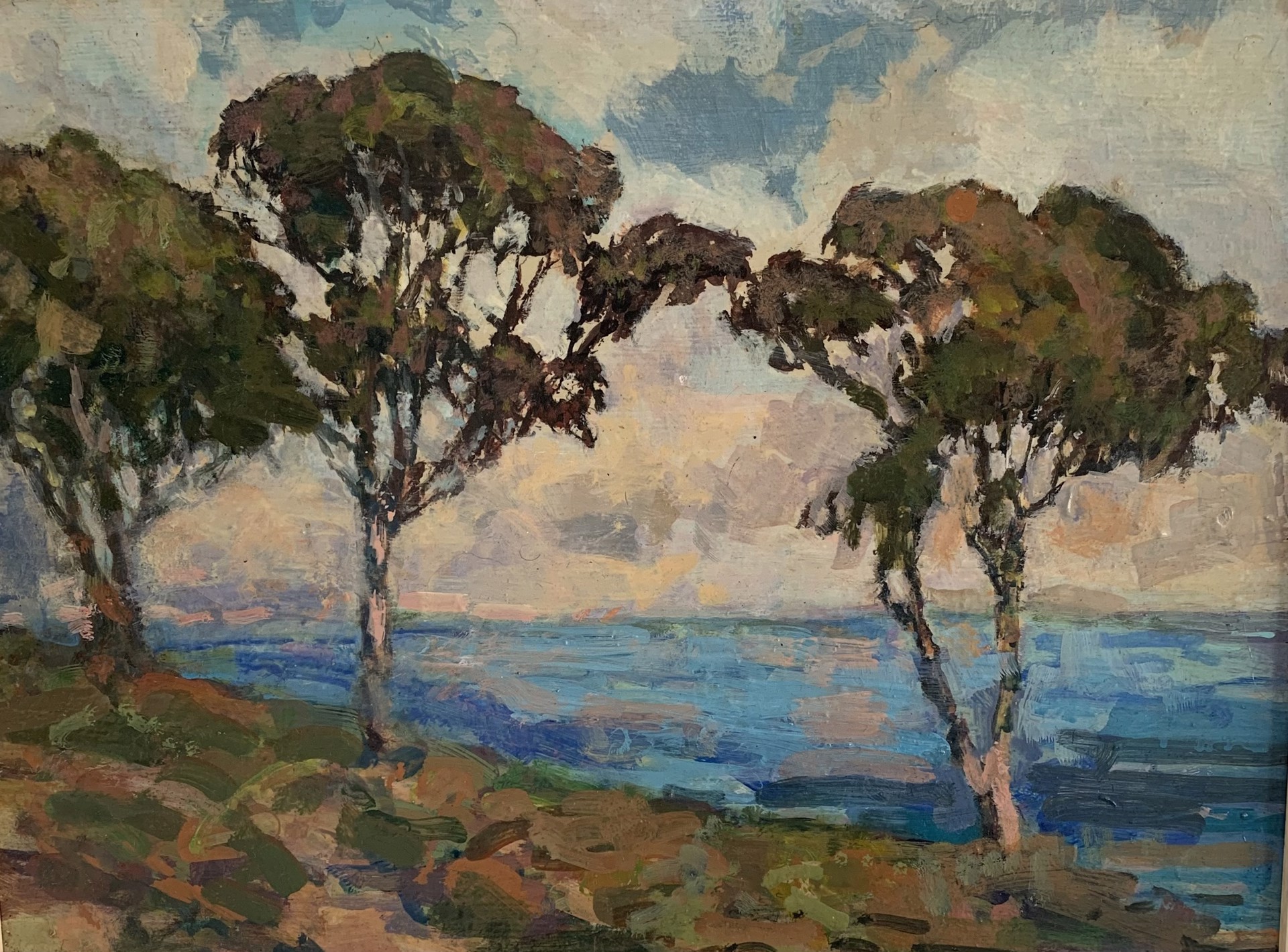 Douglas Preserve Coastline by John Cornfield