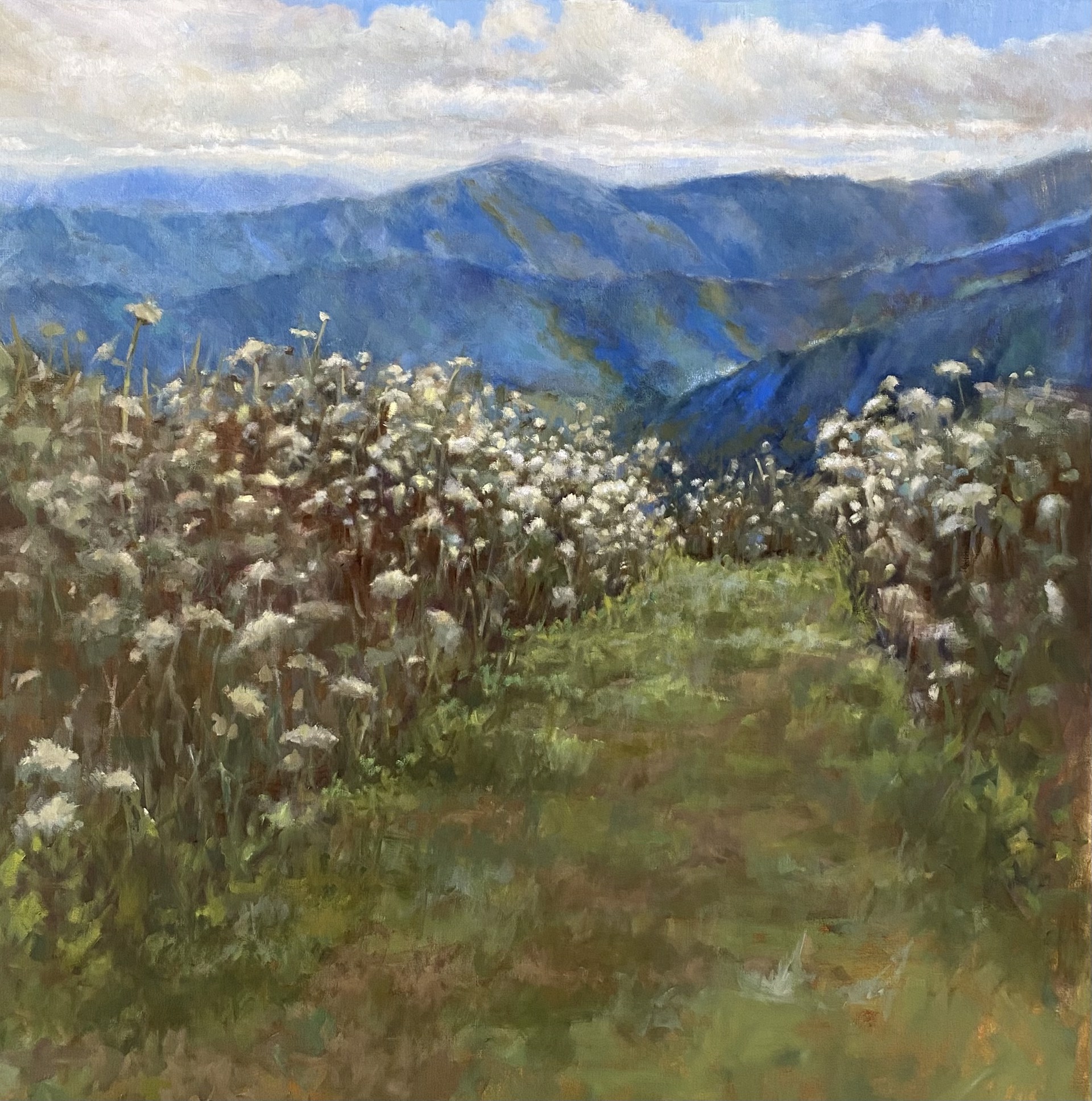 Gifts From the Blue Ridge Parkway by Laurie Meyer