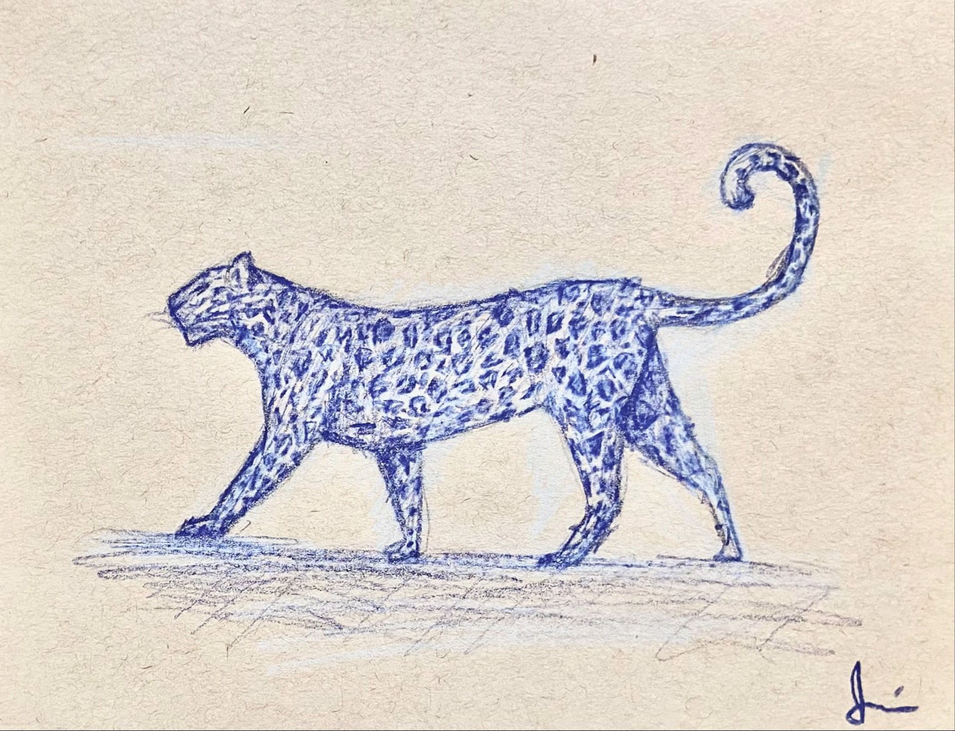 Lone Leopard by Jane Schulz