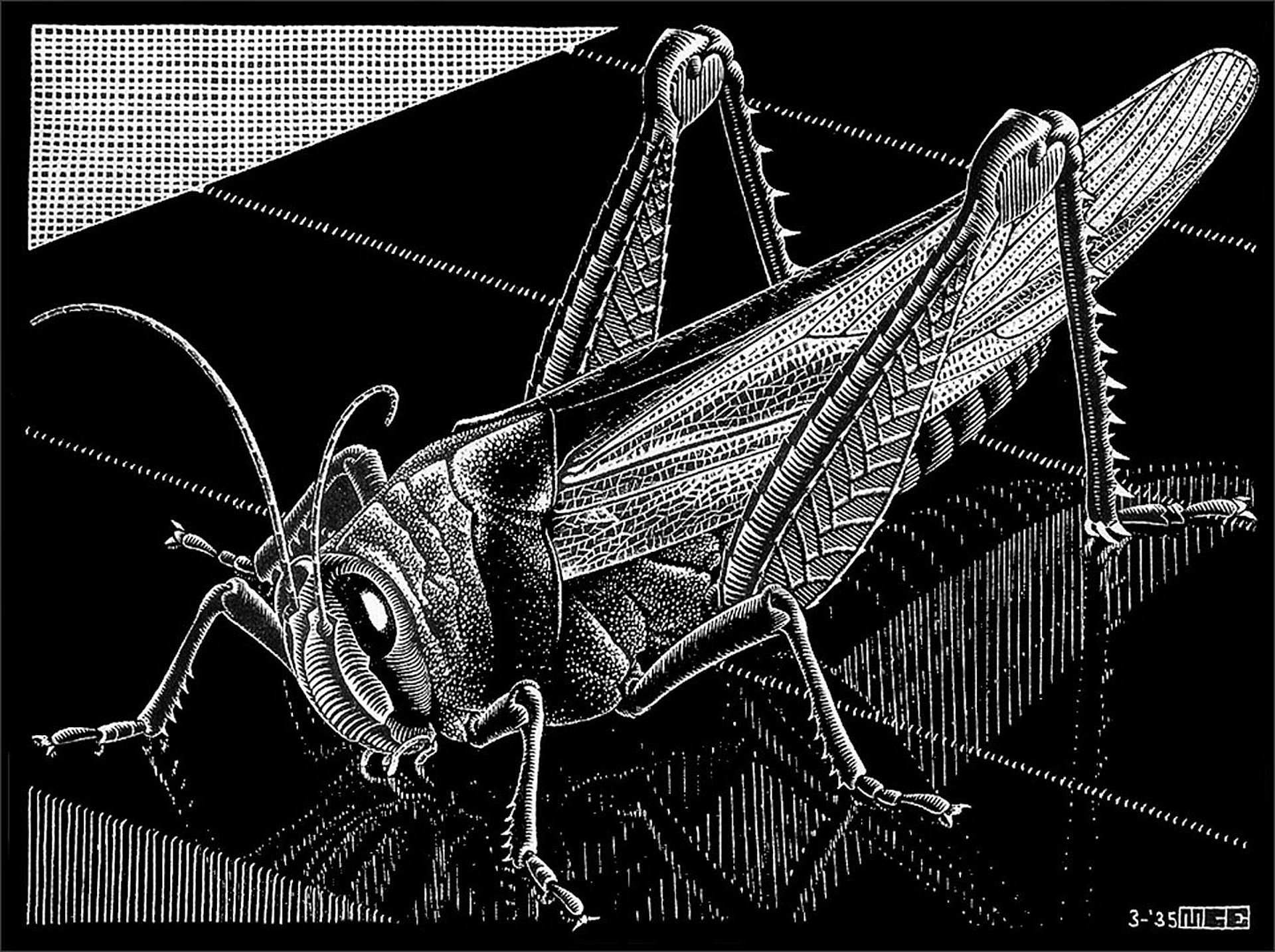 Grasshopper by M.C. Escher